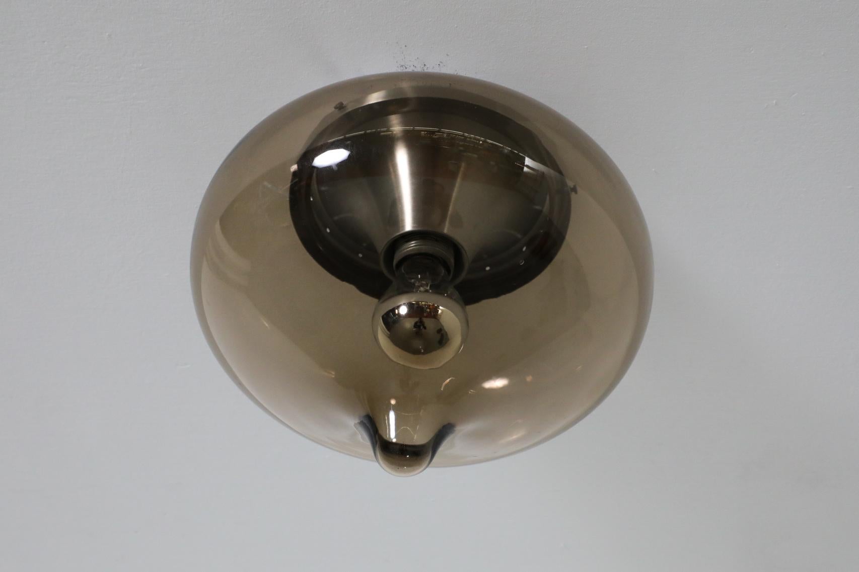 Blown Smoked Glass Globe Flush Mount Ceiling 