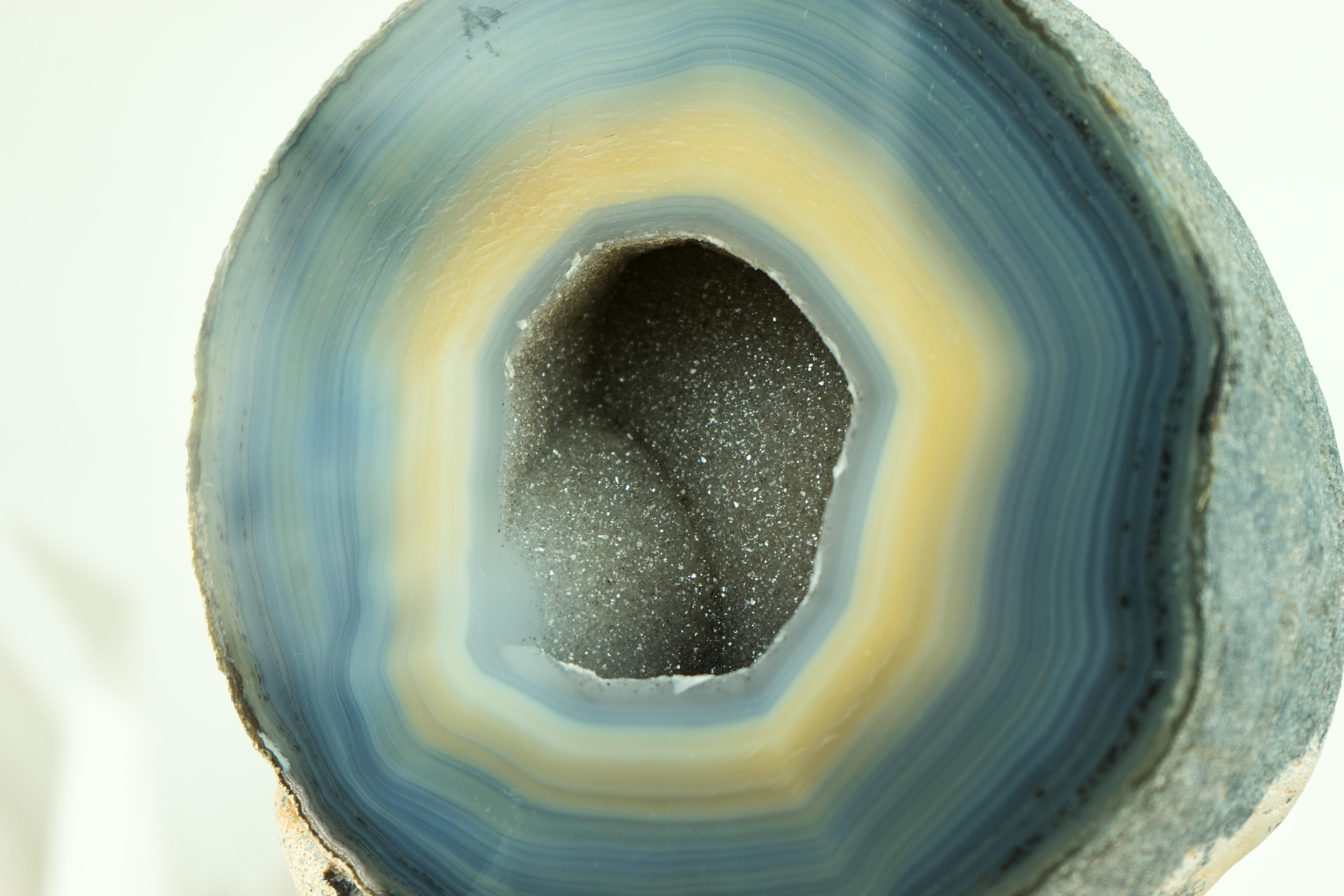Blauer und cremefarbener Spitzenachat-Geode auf Stand - Gebänderter Achat-Geode mit Zucker (Brasilianisch) im Angebot