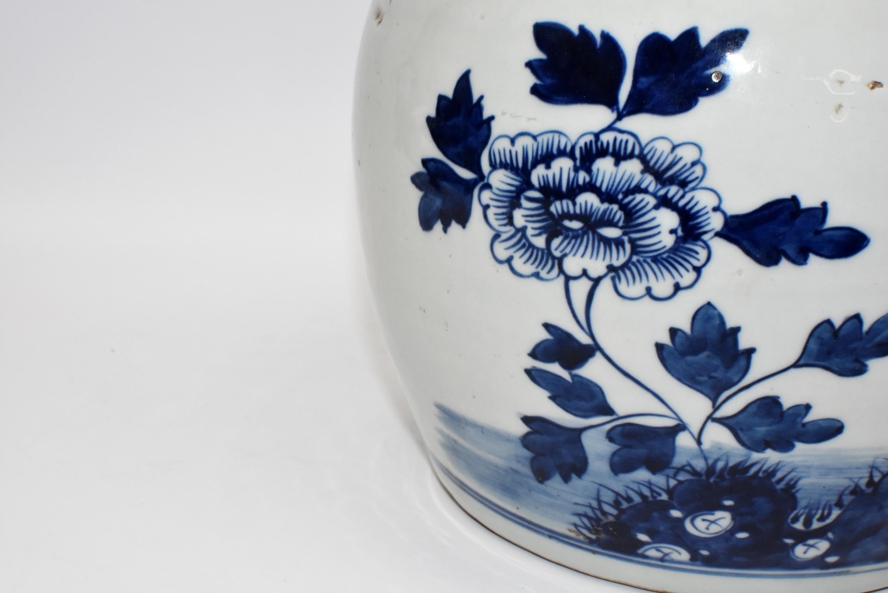 Blue and White Chinese Porcelain Jar, Bird and Peony 3
