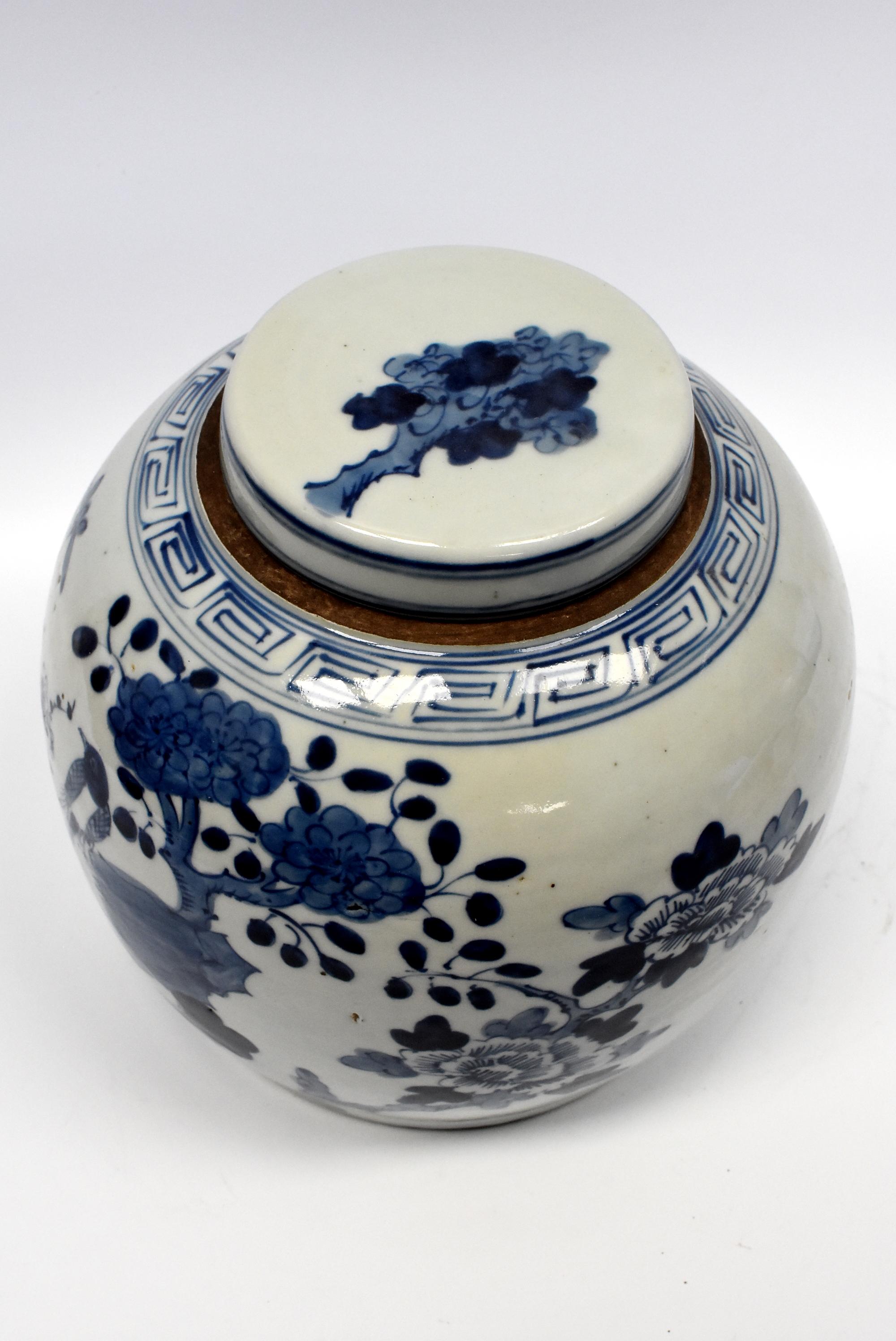 Blue and White Chinese Porcelain Jar, Magpie and Butterfly 5