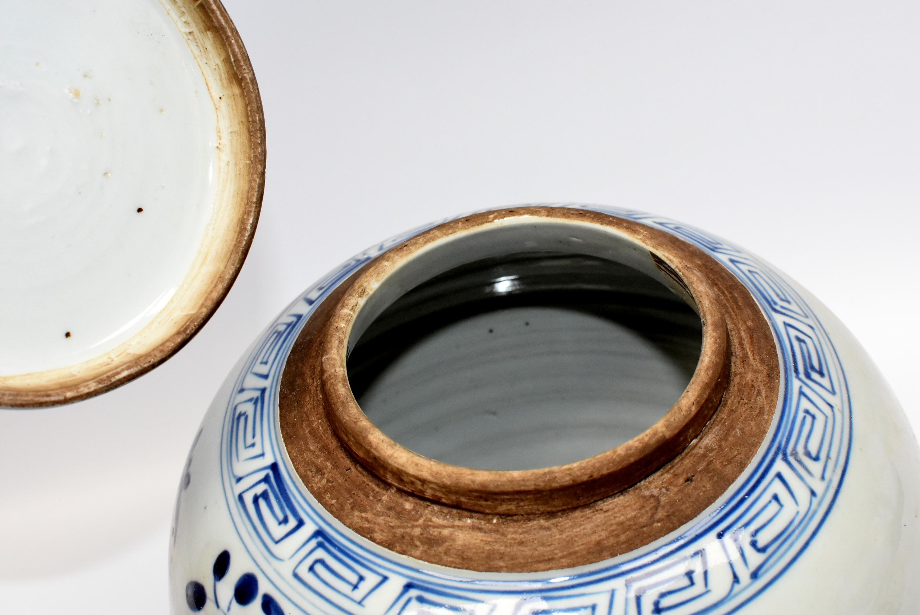 Blue and White Chinese Porcelain Jar, Magpie and Butterfly 6