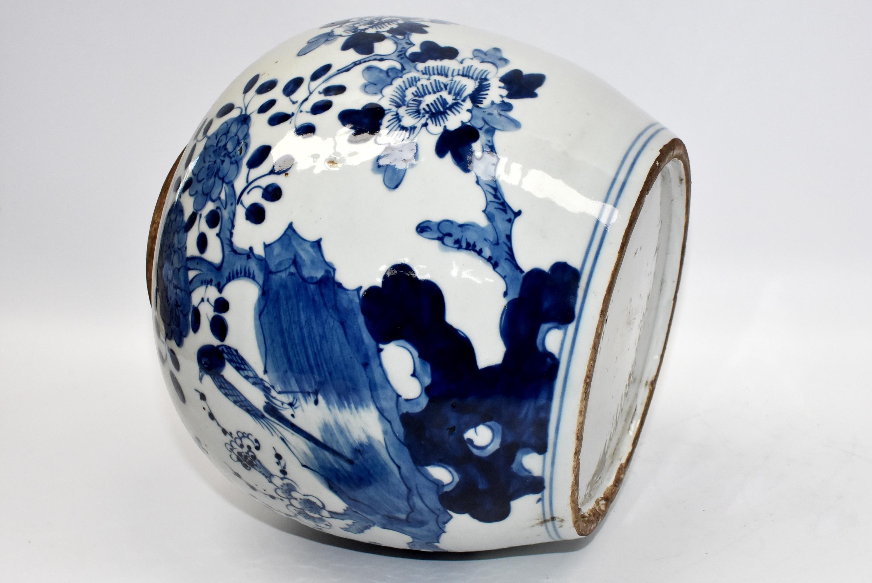Blue and White Chinese Porcelain Jar, Magpie and Butterfly 9