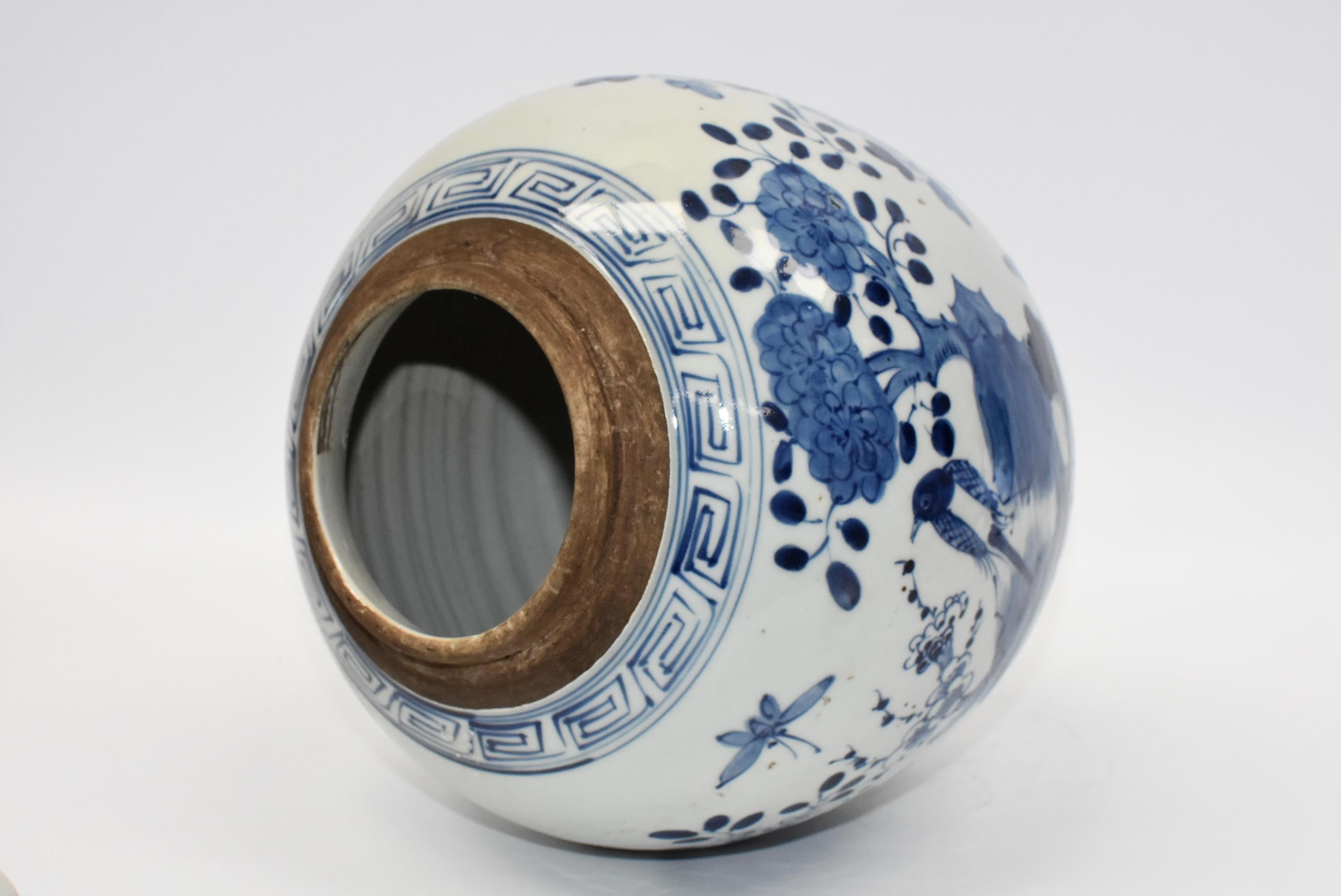 Blue and White Chinese Porcelain Jar, Magpie and Butterfly 13