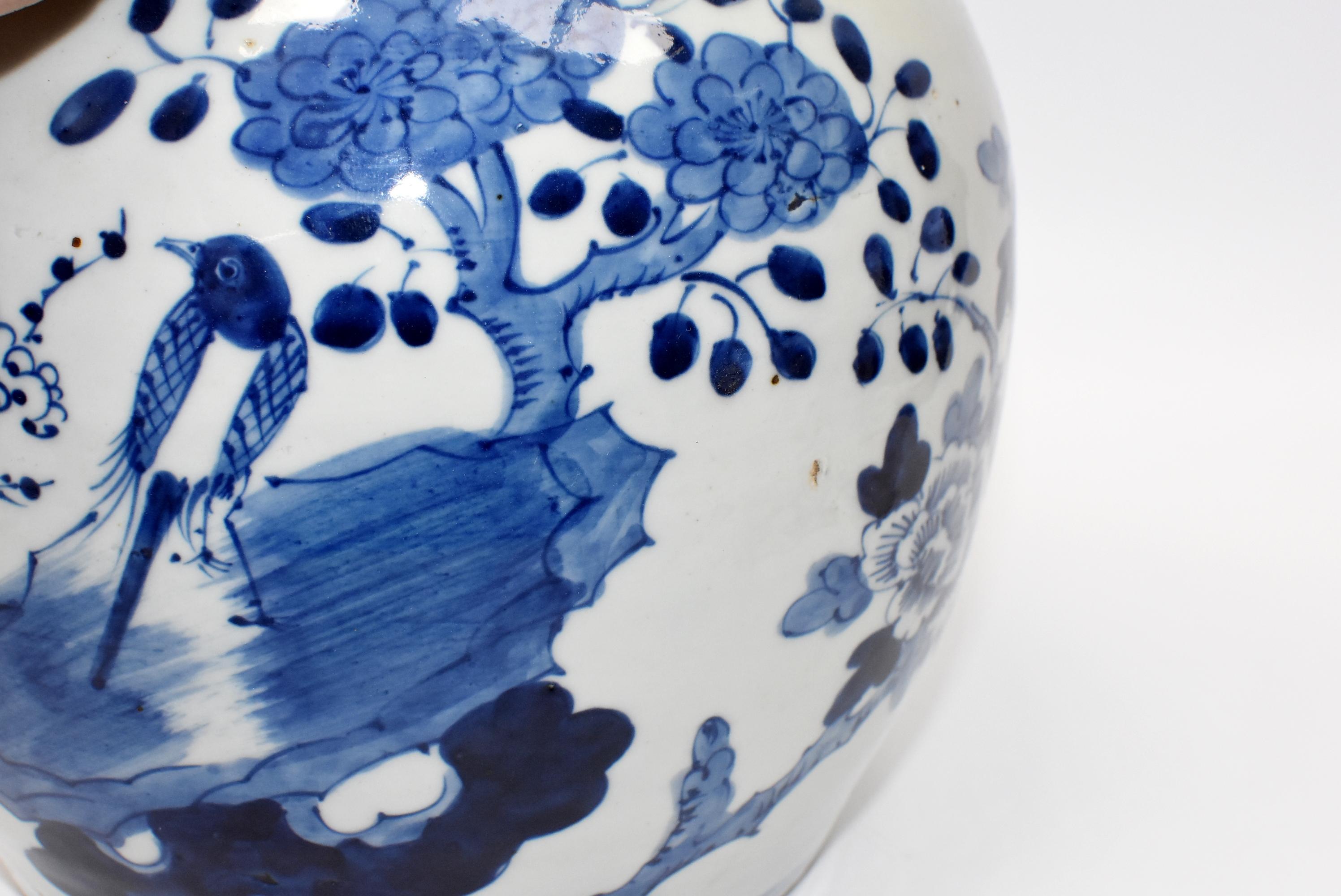 Blue and White Chinese Porcelain Jar, Magpie and Butterfly 14