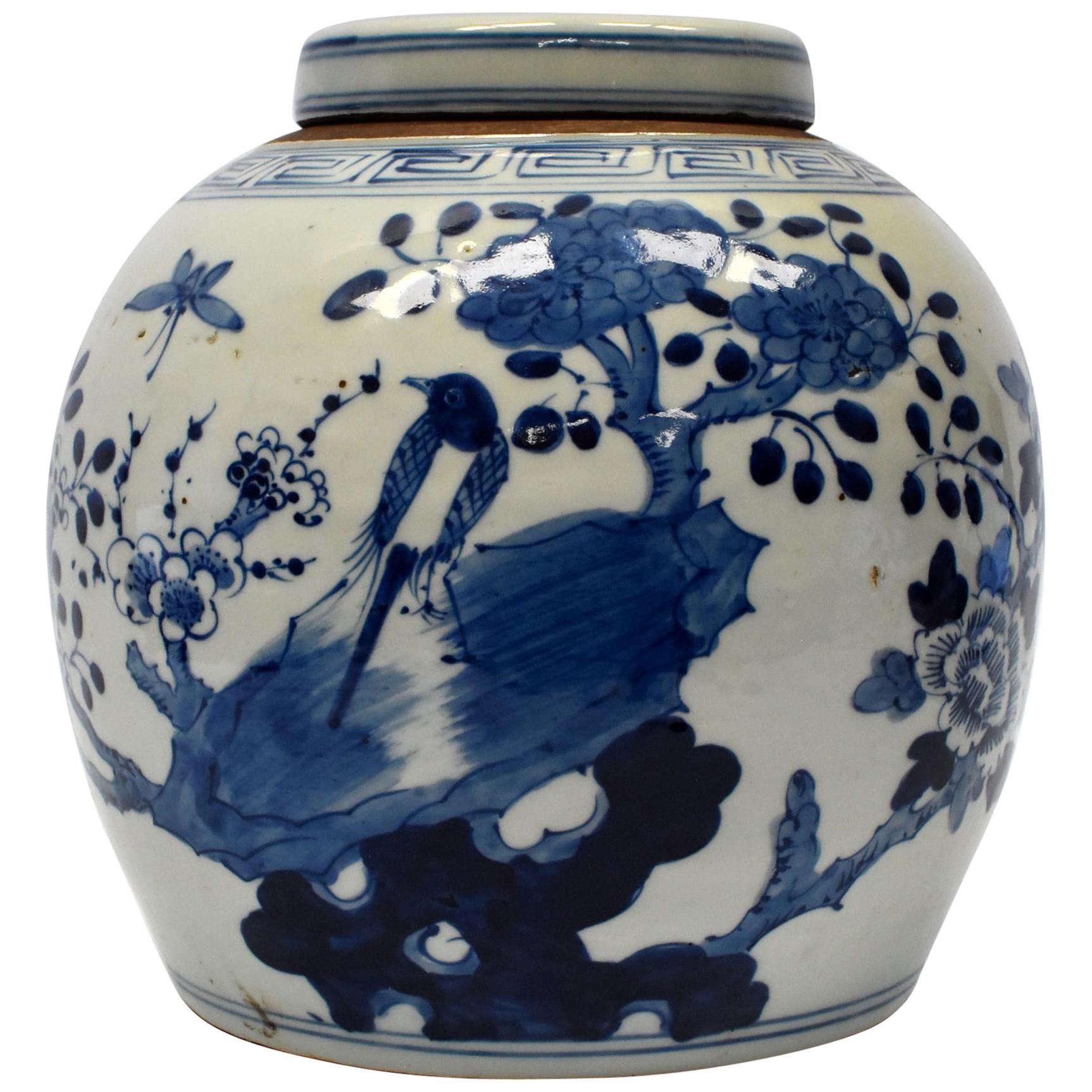 Blue and White Chinese Porcelain Jar, Magpie and Butterfly