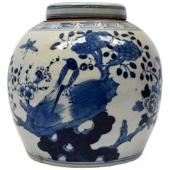 Vintage Blue and White Chinese Porcelain Jar, Magpie and Butterfly