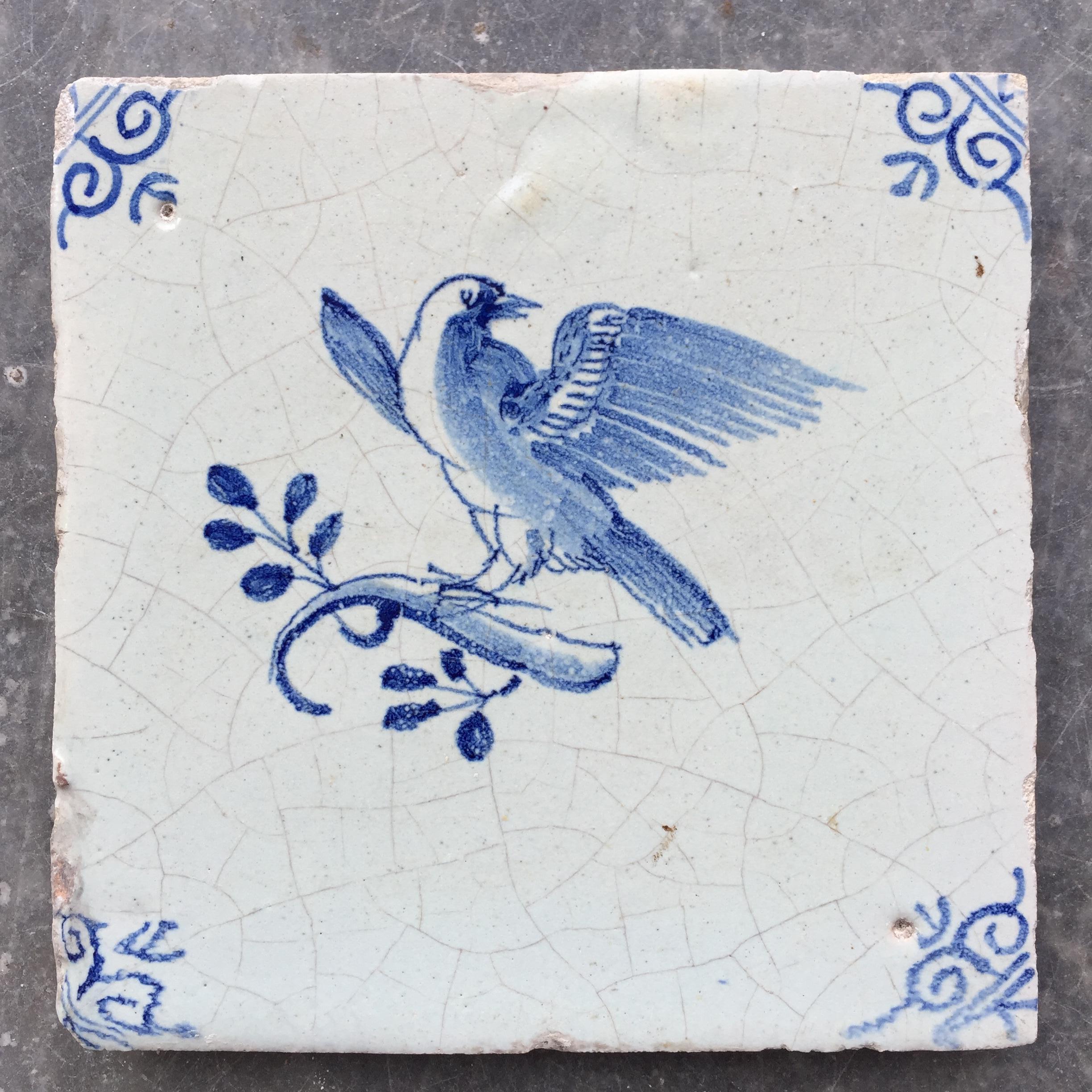 The Netherlands
Circa 1630 - 1660

A beautiful and clear blue and white tile with a bird on a branch.
With oxheads as corner decoration.

A genuine collectible of approximately 400 years old.