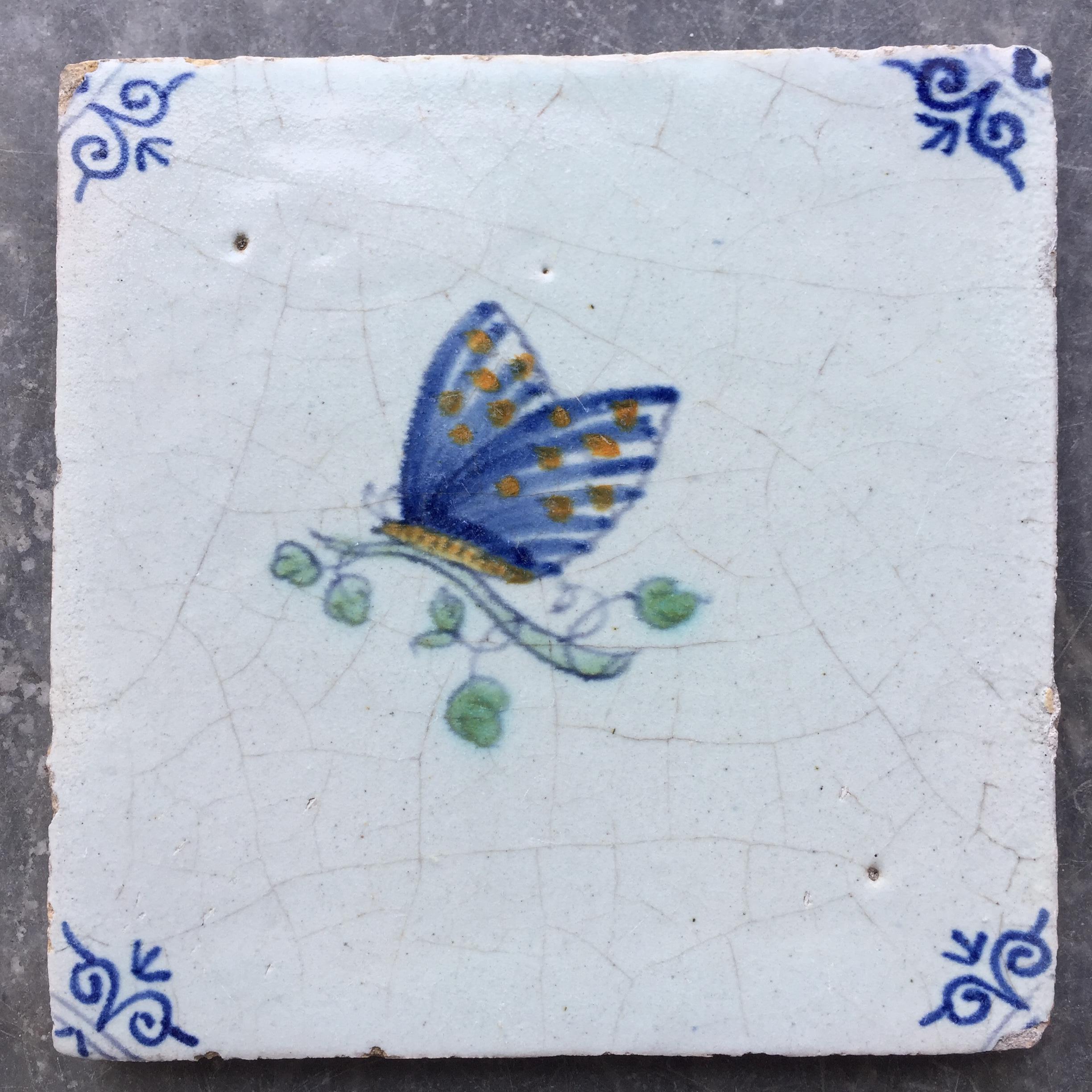 The Netherlands
Circa 1630 - 1660

A fine and beautiful tile with a decoration of a large butterfly on a little branch with leaves.
With oxheads as corner decoration.

A genuine collectible of approximately 400 years old.