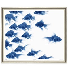 Blue and White Fish Print