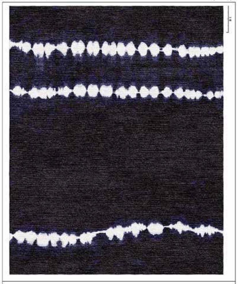 There are an infinite number of ways one can bind, stitch, fold, twist, or compress cloth for shibori, and each way results in very different patterns. Each method is used to achieve a certain result, but each method is also used to work in harmony