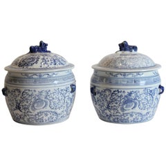 Retro Blue and White Ginger Jars