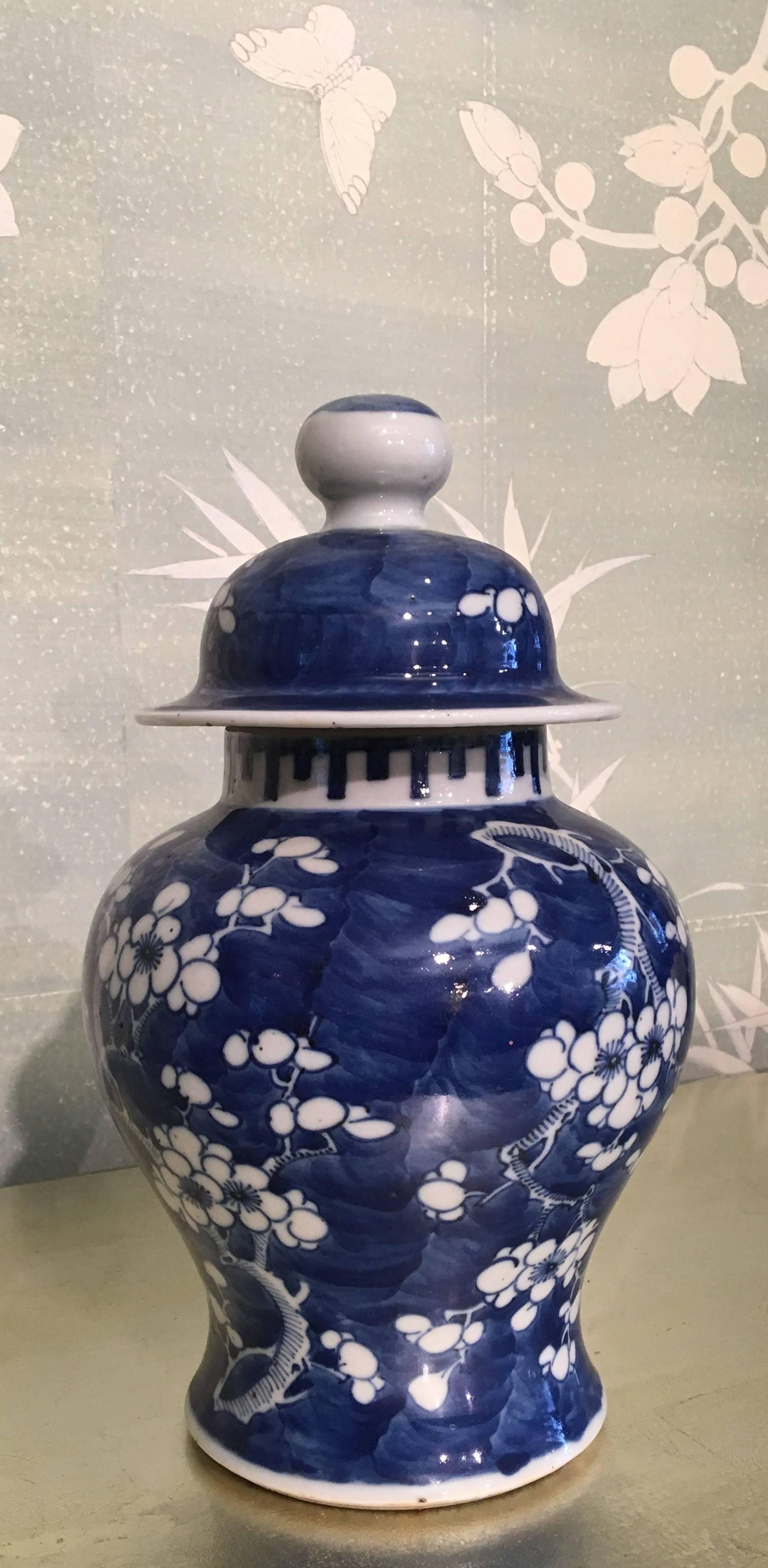 A Chinese 19th century blue and white temple jar with prunus blossom design.