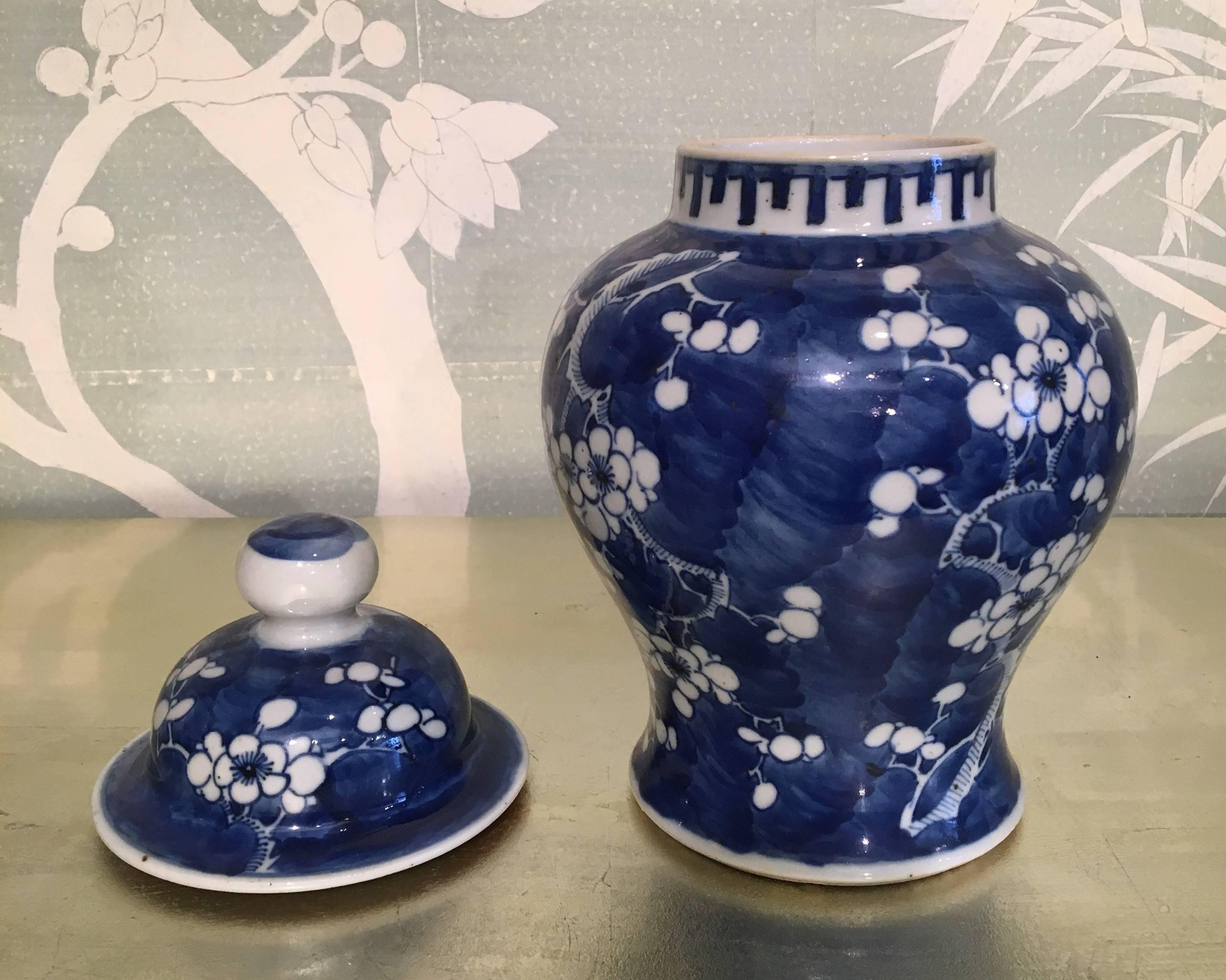 Chinese Blue and White Lidded Jar For Sale