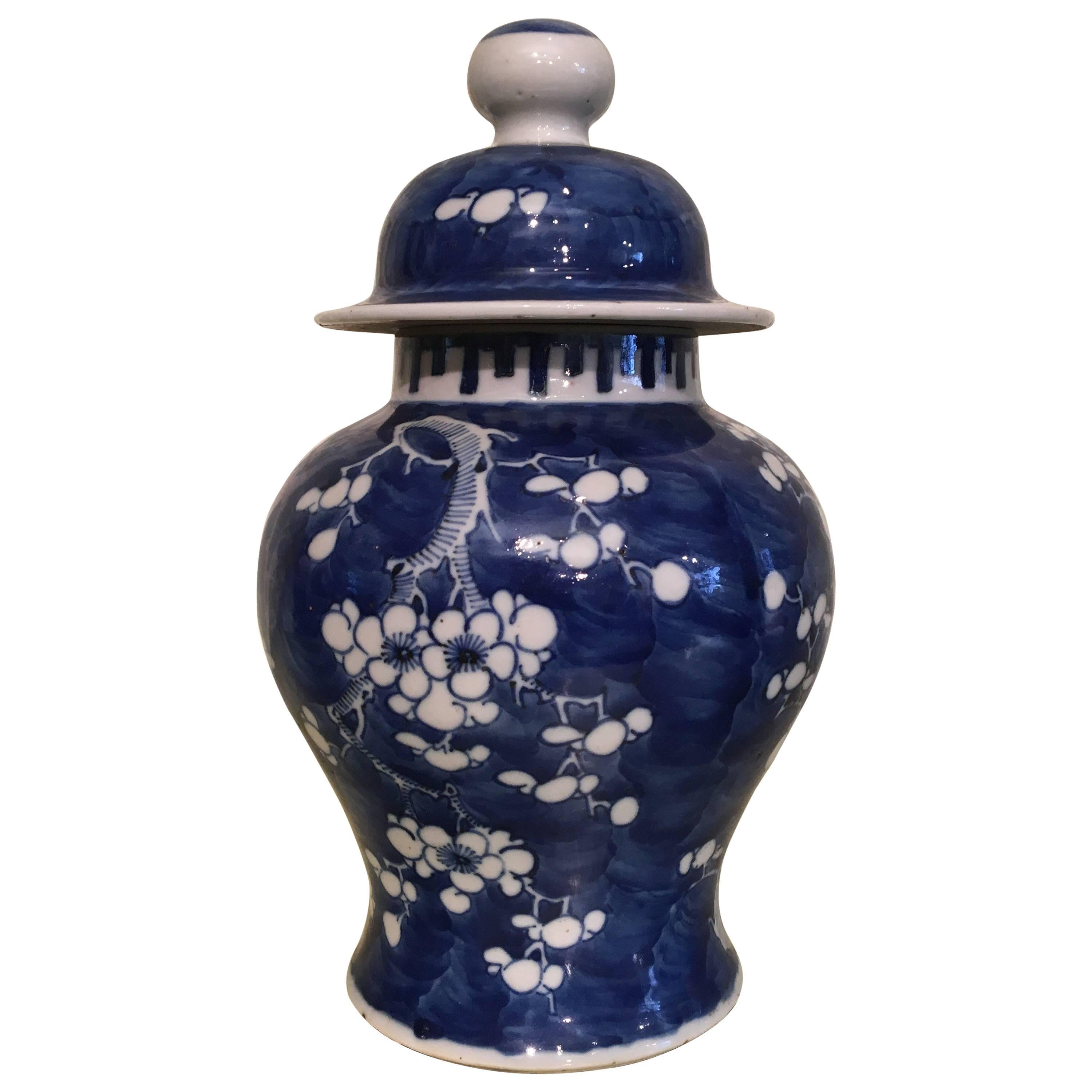 Blue and White Lidded Jar For Sale