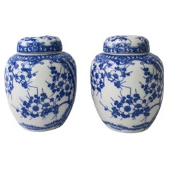 Tarros de jengibre de porcelana azul y blanca, Pareja