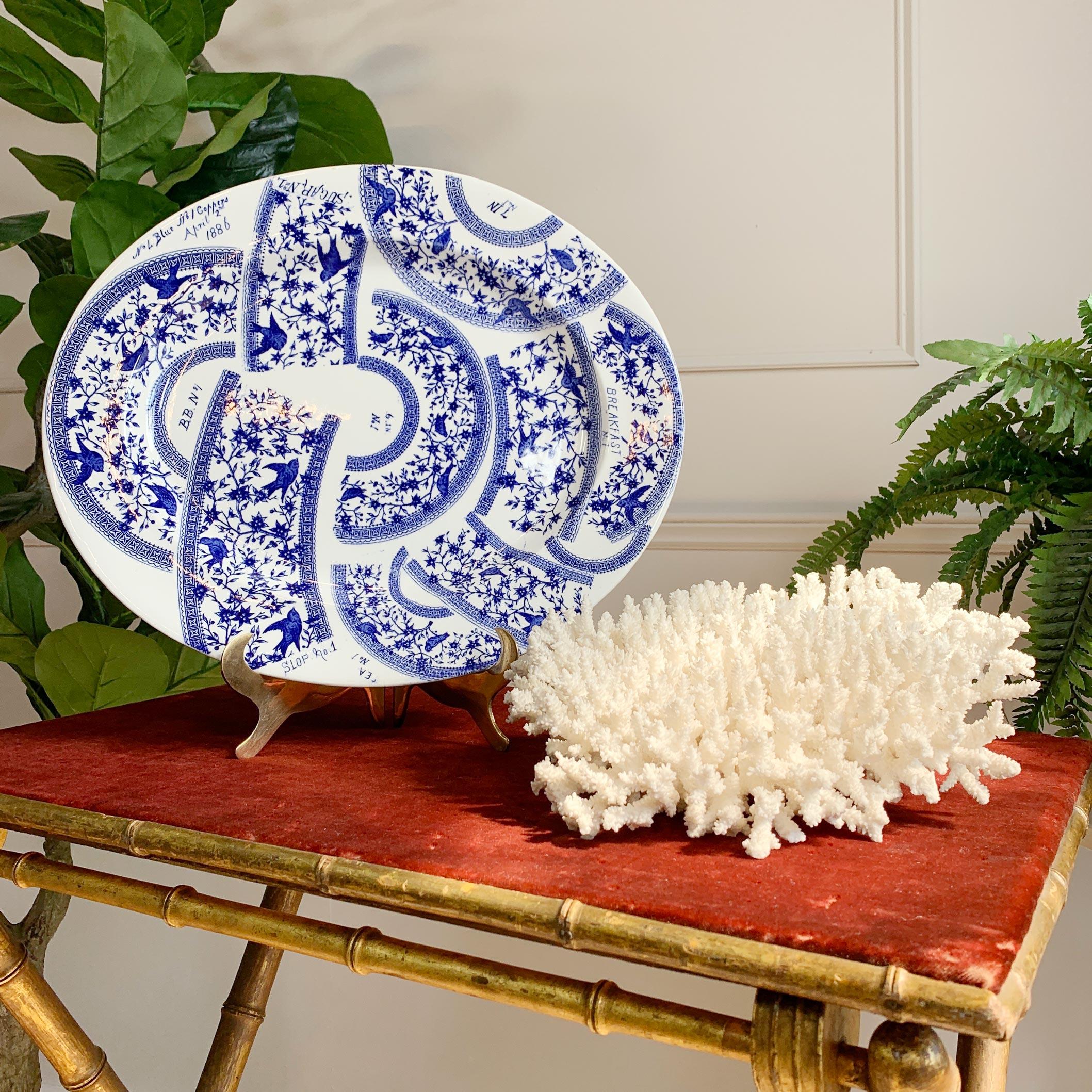 Plato con Patrón de Muestras Azul y Blanco S. XIX Derby Inglaterra en venta 2
