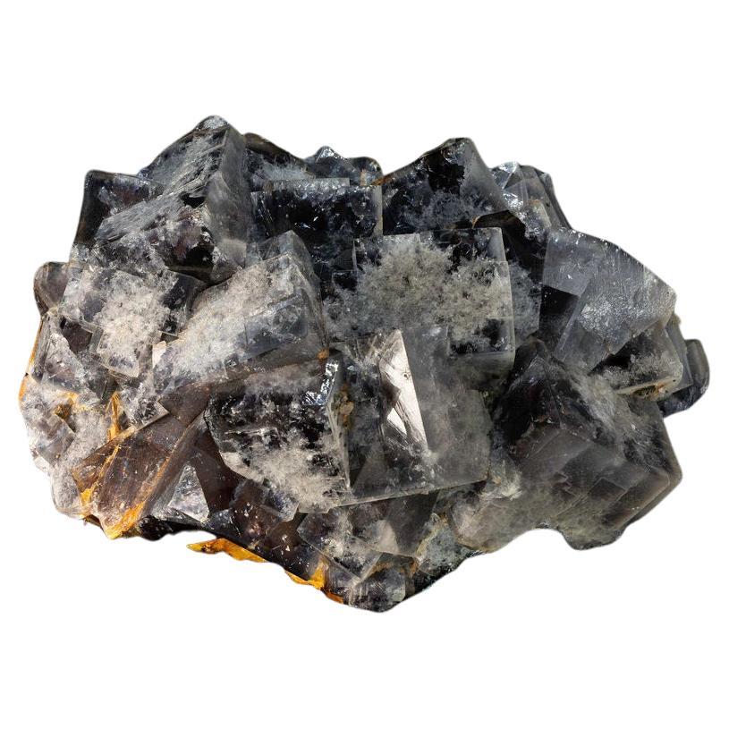 Fluorite bleue et jaune d'Allemagne en vente