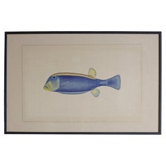 Pesce Tang blu e giallo Acquerello di L. R. Laffitte