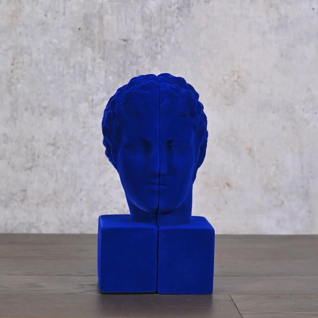 Blaue Apollo-Buchstützen aus Samt, eine Neuinterpretation der klassischen Skulptur (Moderne) im Angebot