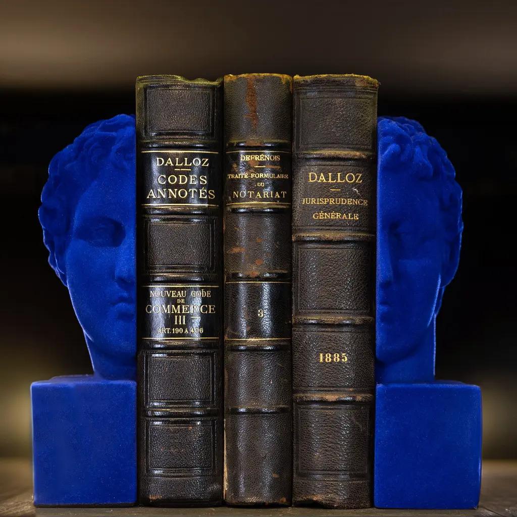 Blaue Apollo-Buchstützen aus Samt, eine Neuinterpretation der klassischen Skulptur im Zustand „Gut“ im Angebot in Saint-Ouen, FR