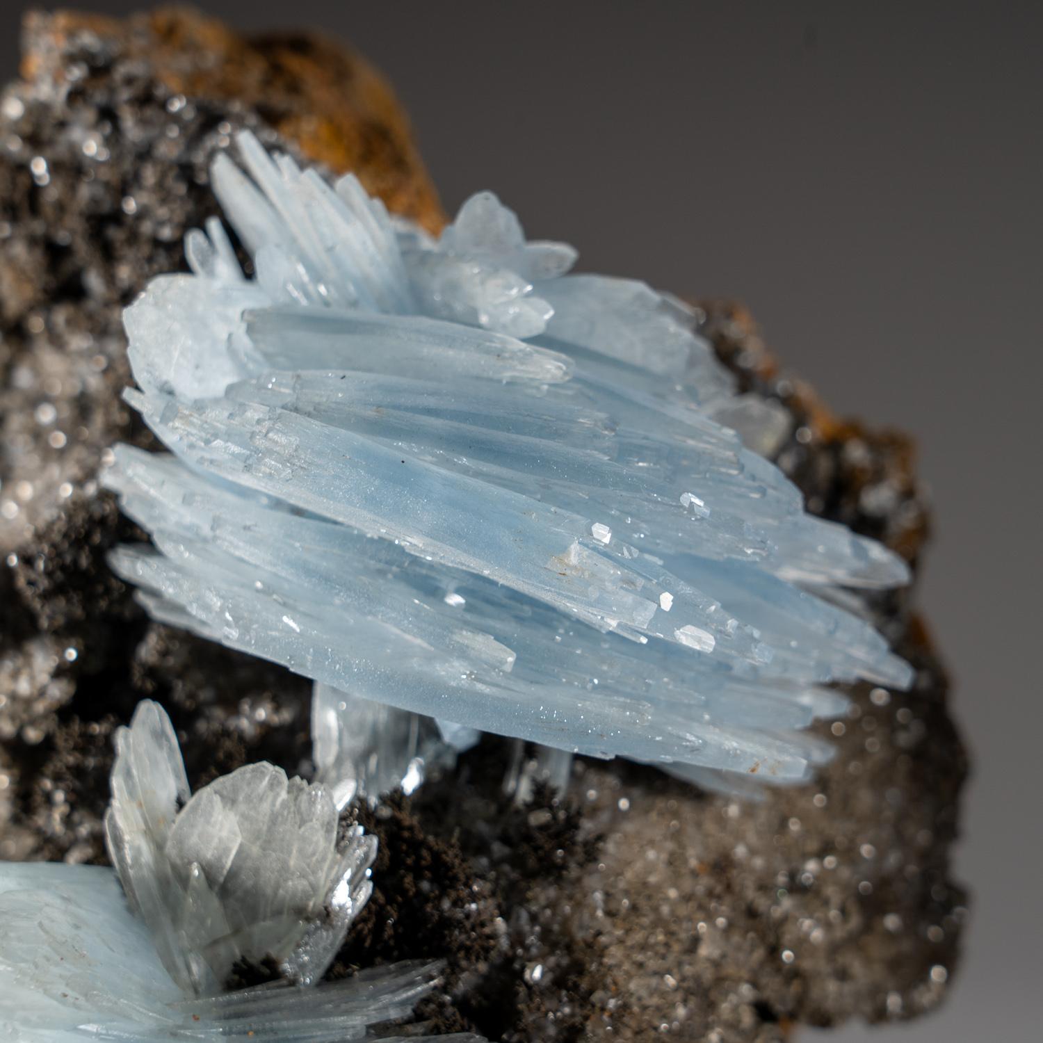 From Jebel Ouichane, Sagangane, Nador Province, L'Oriental Region, Morocco.

Lustrous transparent blue tapered barite crystals in a group of parallel crystals with brown gossan on matrix. They are definitely one of the finest barite discoveries in