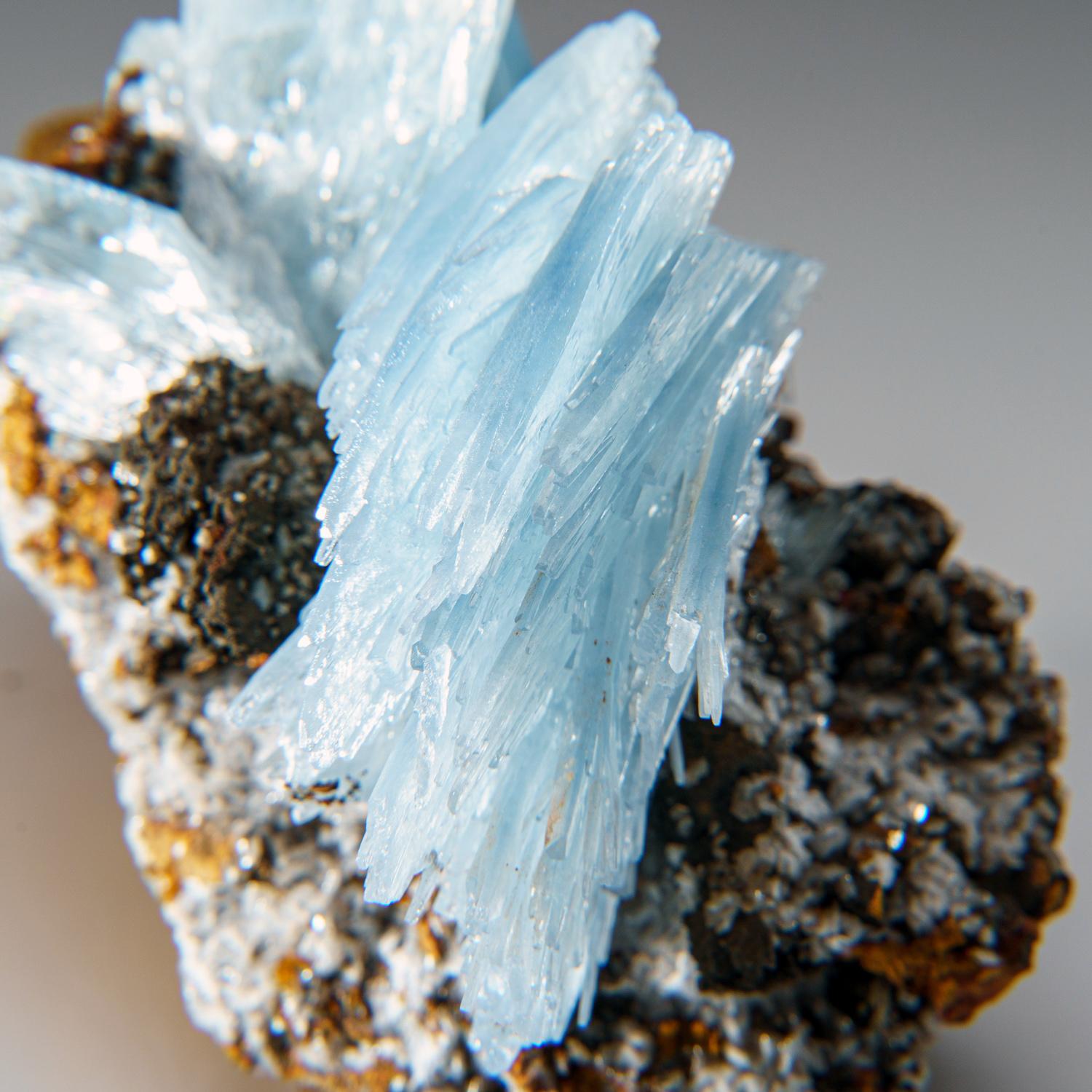 From Jebel Ouichane, Sagangane, Nador Province, L'Oriental Region, Morocco.

Lustrous transparent blue tapered barite crystals in a group of parallel crystals with brown gossan on matrix. They are definitely one of the finest barite discoveries in