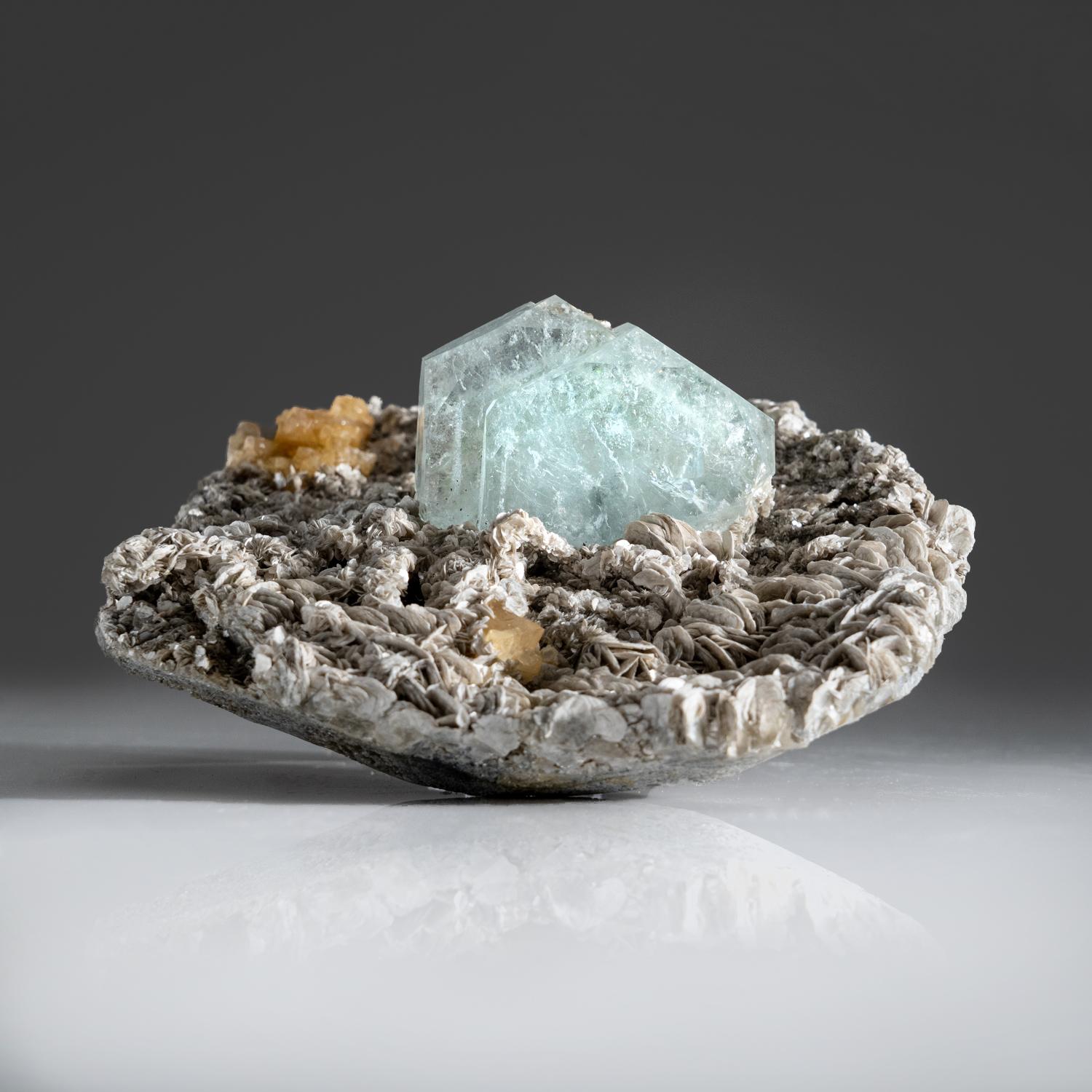 Da Jebel Ouichane, Sagangane, provincia di Nador, regione di L'Oriental, Marocco.

Ecco una nuova incredibile barite blu che è stata scoperta nell'ultimo anno. Cristallo di barite trasparente e brillante di 2,5x1,5 pollici in aggregati
