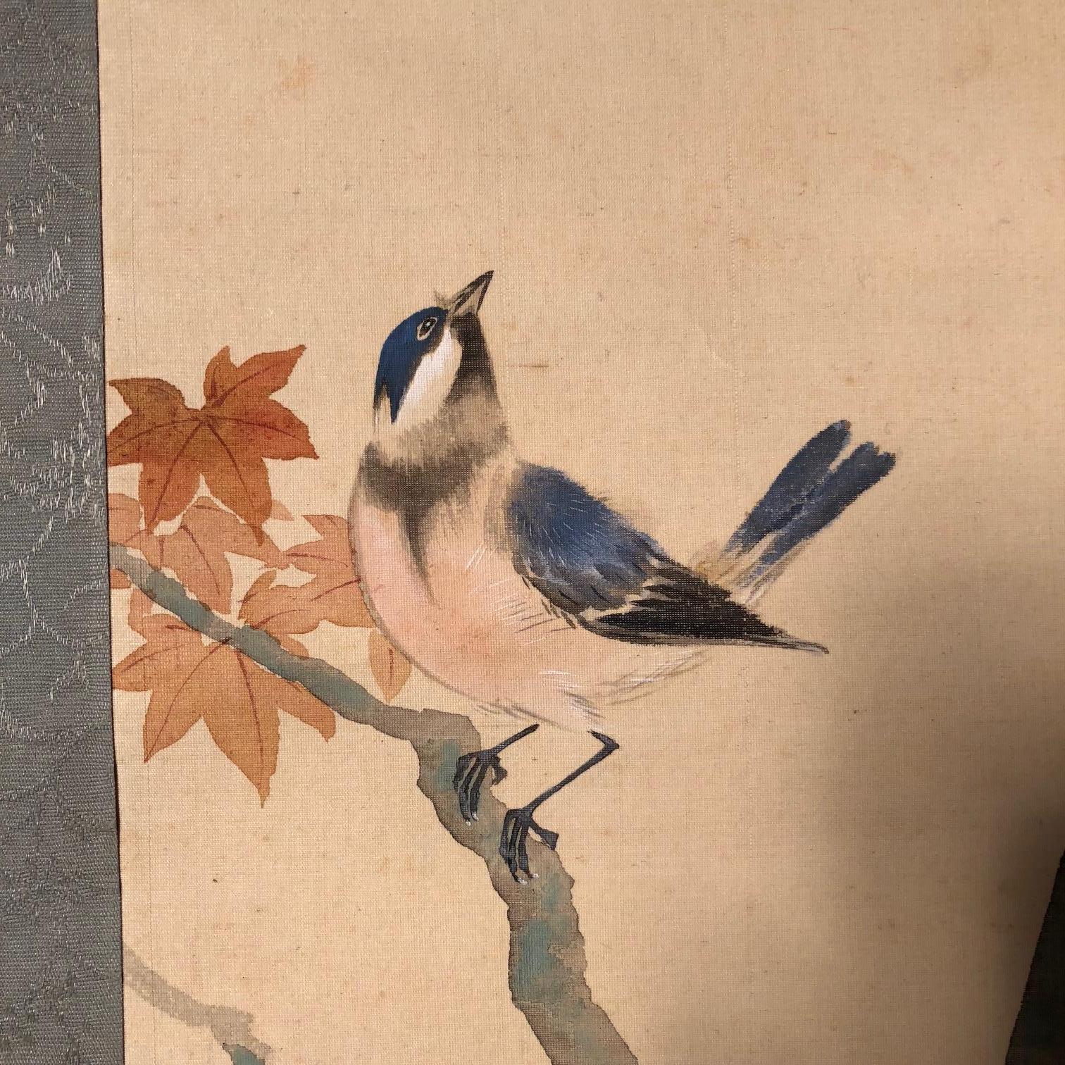 A very fine and delicate Japanese antique hand-painted silk scroll of blue birds and maple branches, Taisho period.
Hand painting in lively colors with great details, signed.

Inscription:
birds
??? Haku
Bone rollers, beautiful silk