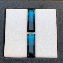 Parfaite paire de boucles d'oreilles en tourmaline naturelle bicolore bleue et noire, 7 carats