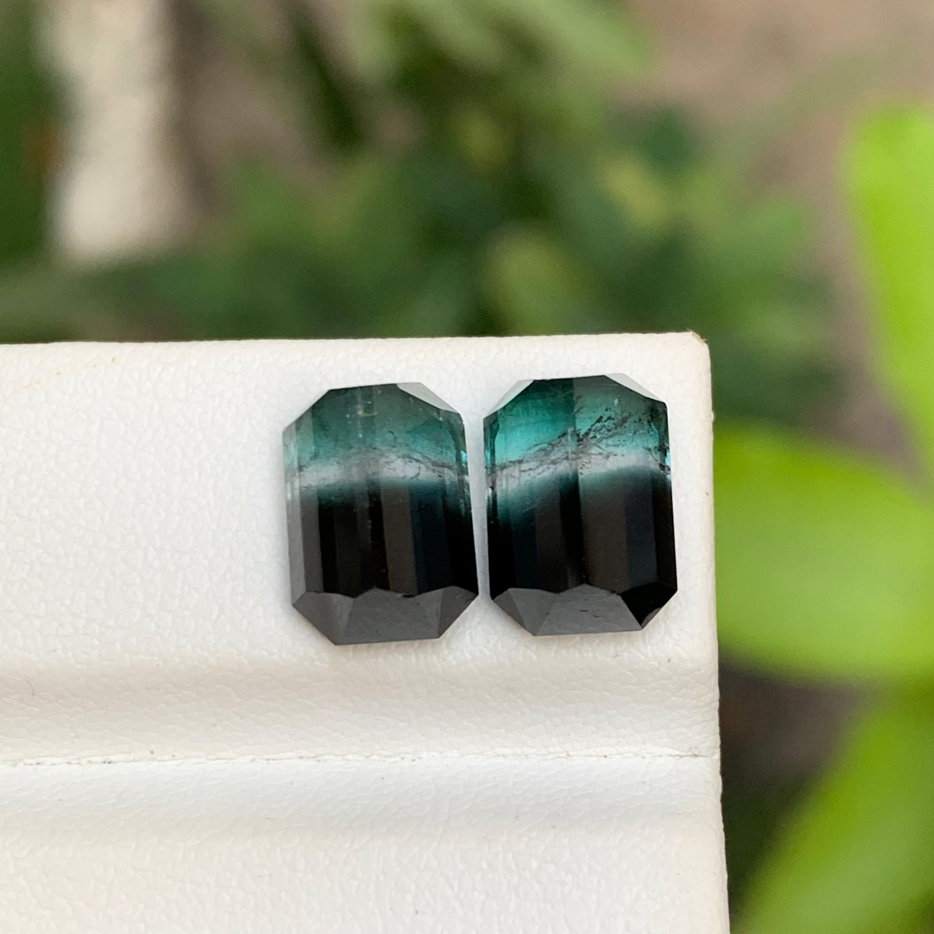 Women's or Men's Blue & Black Bicolor Tourmaline Gemstones Pair 8.85 Ct Emerald Cut for Earrings For Sale