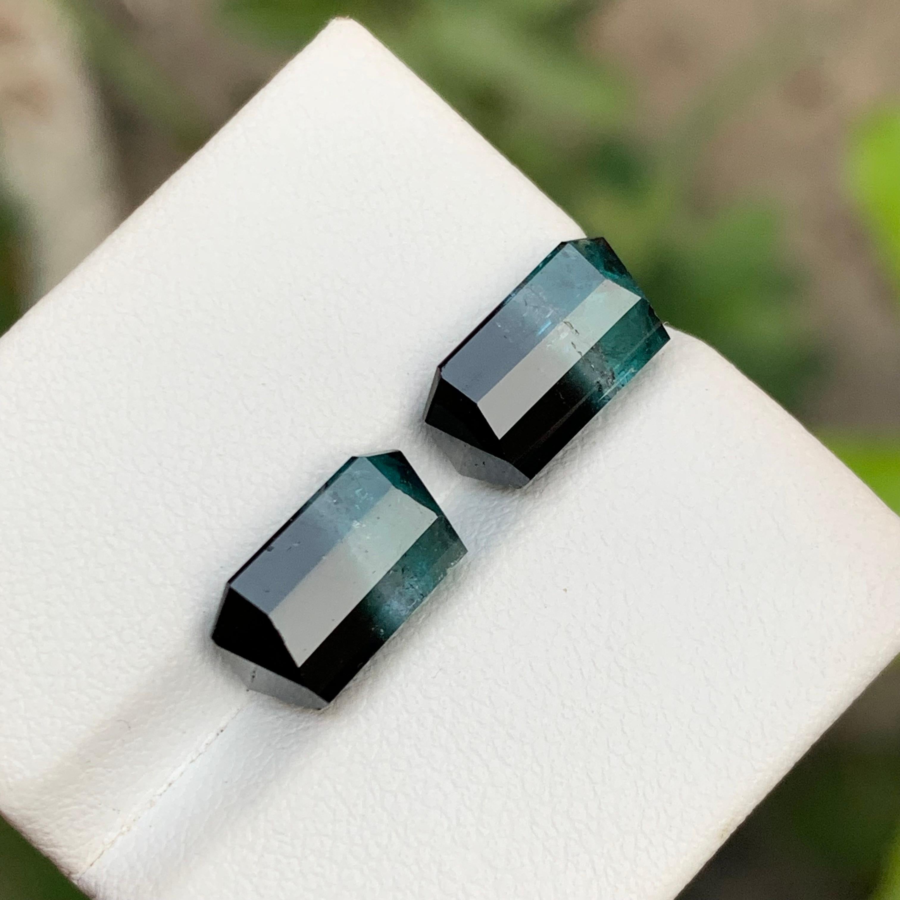 Blue & Black Bicolor Tourmaline Gemstones Pair 8.85 Ct Emerald Cut for Earrings For Sale 1