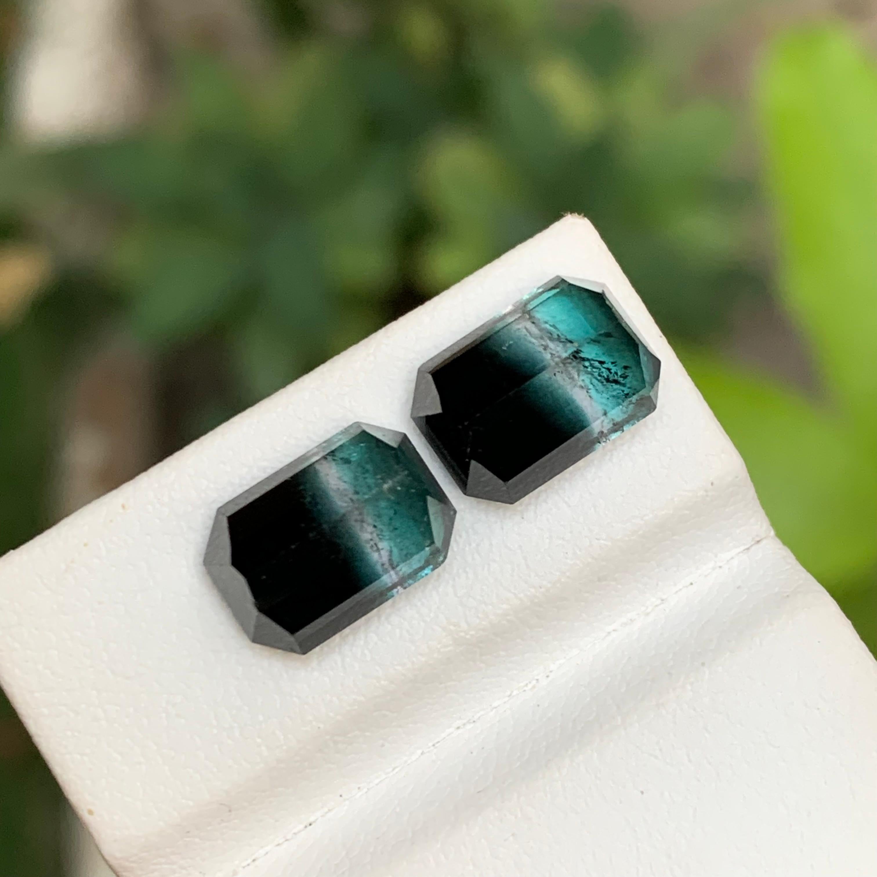 Blue & Black Bicolor Tourmaline Gemstones Pair 8.85 Ct Emerald Cut for Earrings For Sale 4