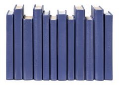 Lot de 12 carnets « Blue Book » en cuir gaufré imitation galuchat