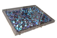 Blue Butterflies Coffee Table