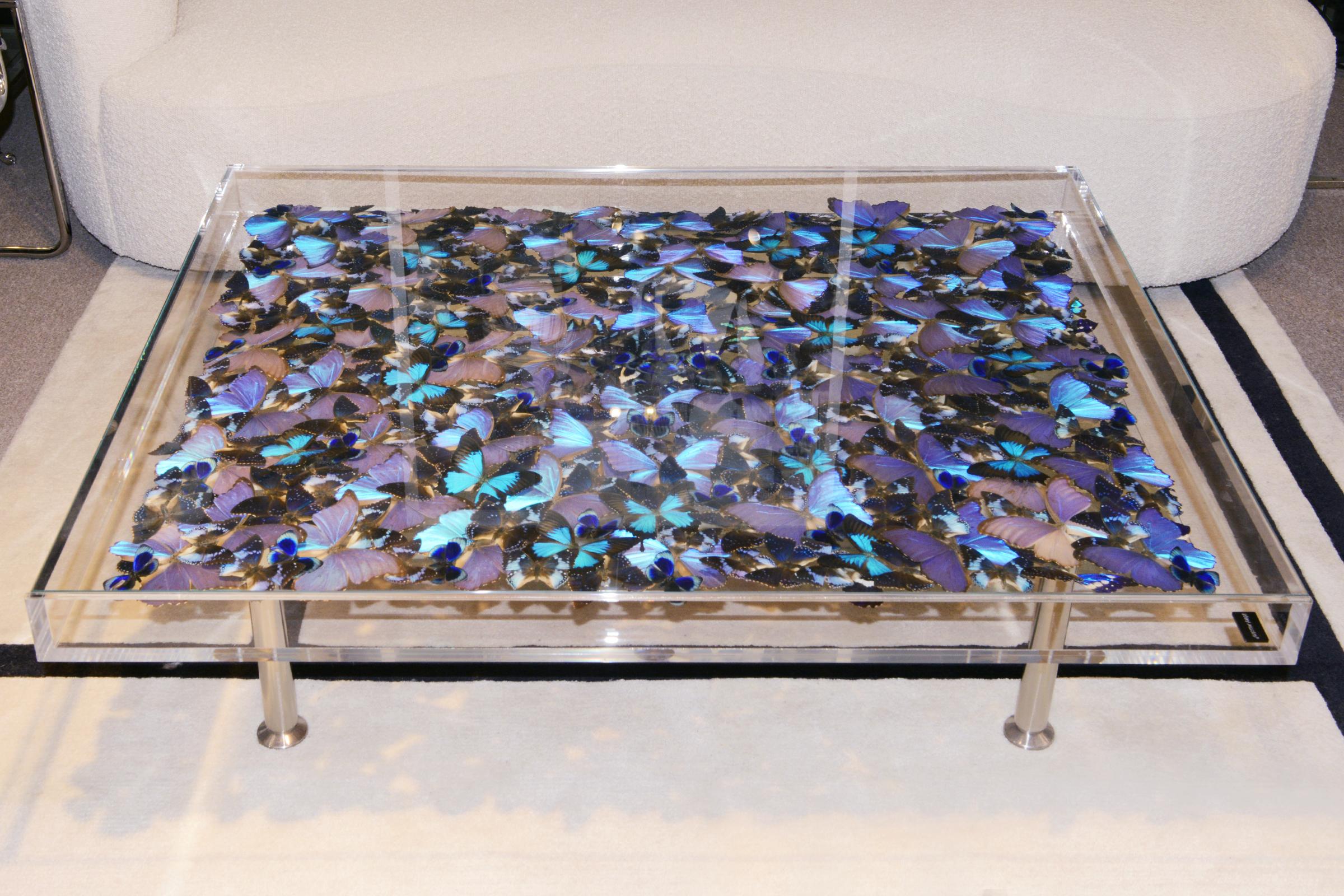 Coffee Table Blue Butterflies with top box frame in plexiglass
and with removable upper table top in clear glass. With 4 adjustable
brushed stainless steel feet. Table up box top frame composed
of 65 Morpho Didius, 5 Morpho Helena, 26 Papillo
