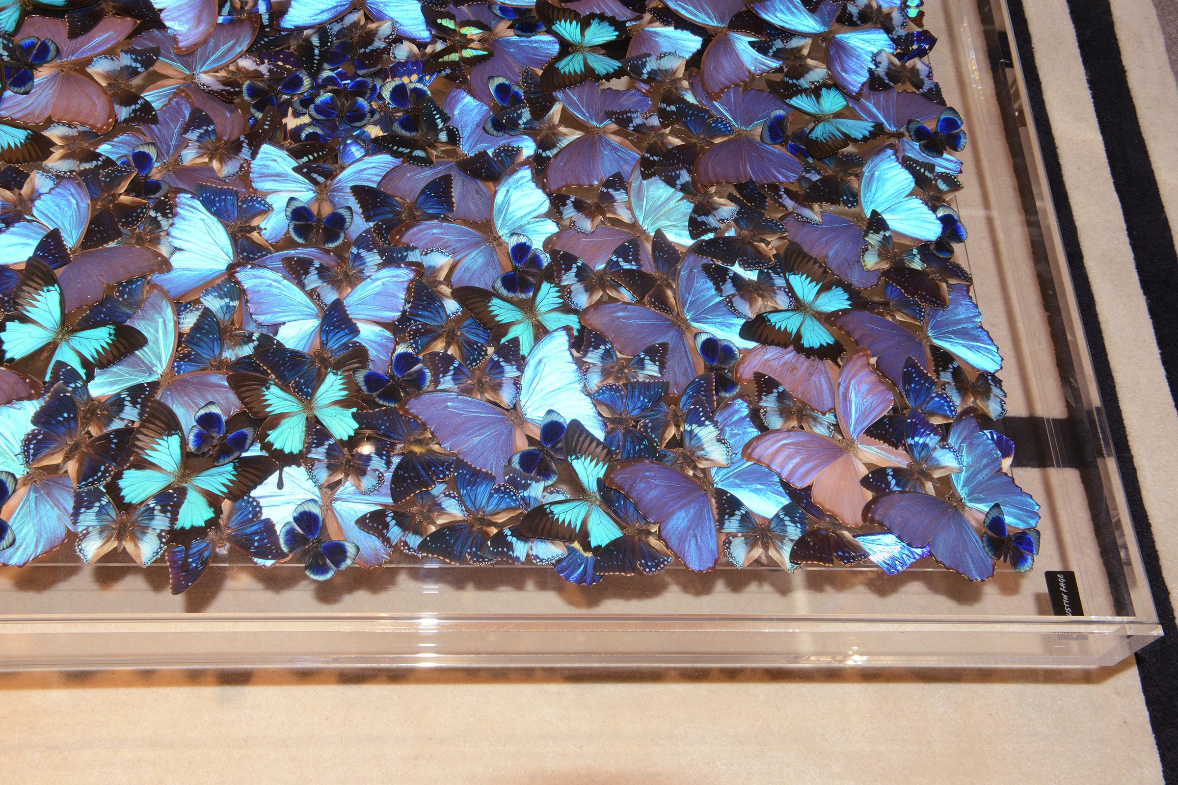 Blue Butterflies Coffee Table In New Condition For Sale In Paris, FR