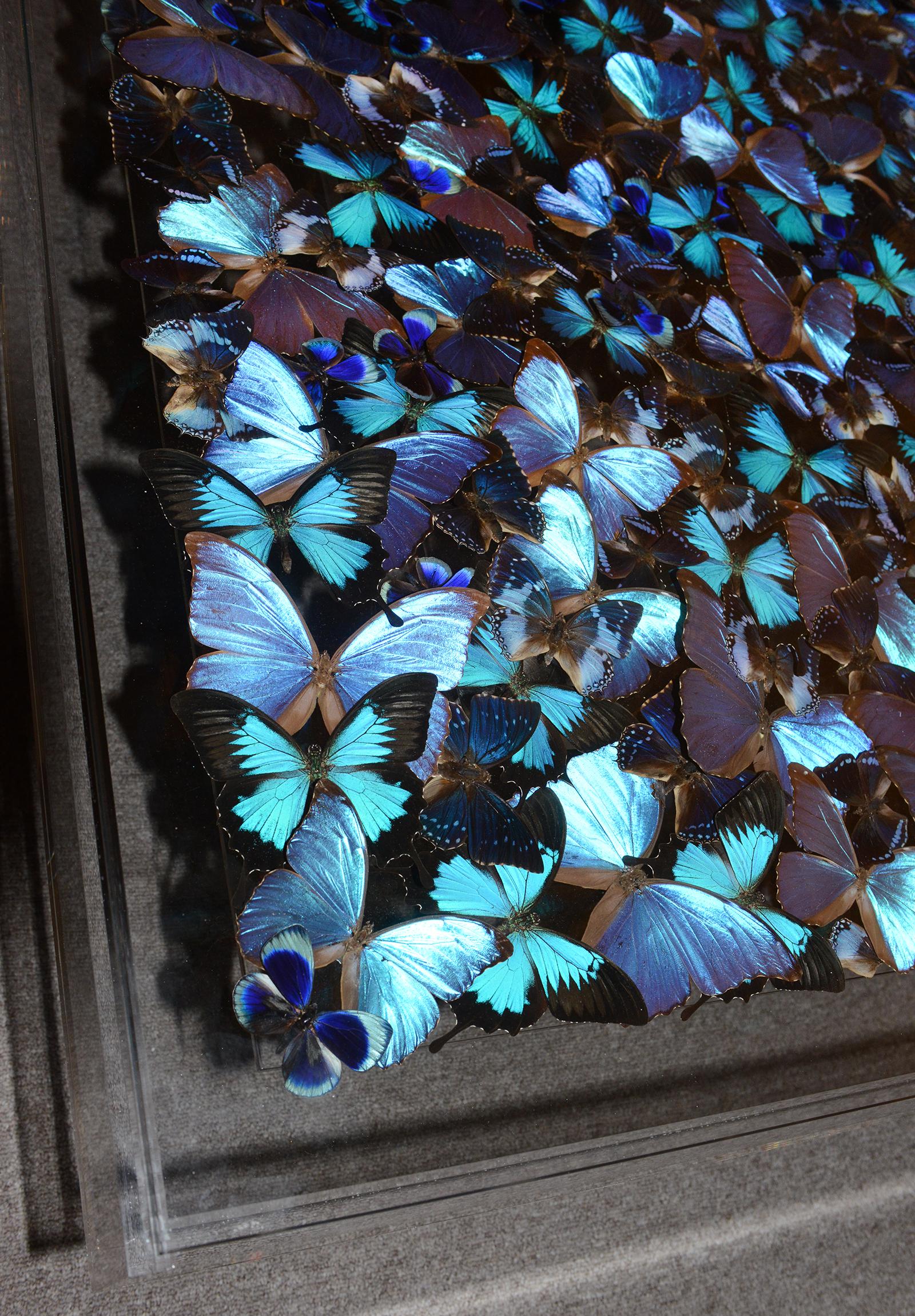 Brushed Blue Butterflies Coffee Table