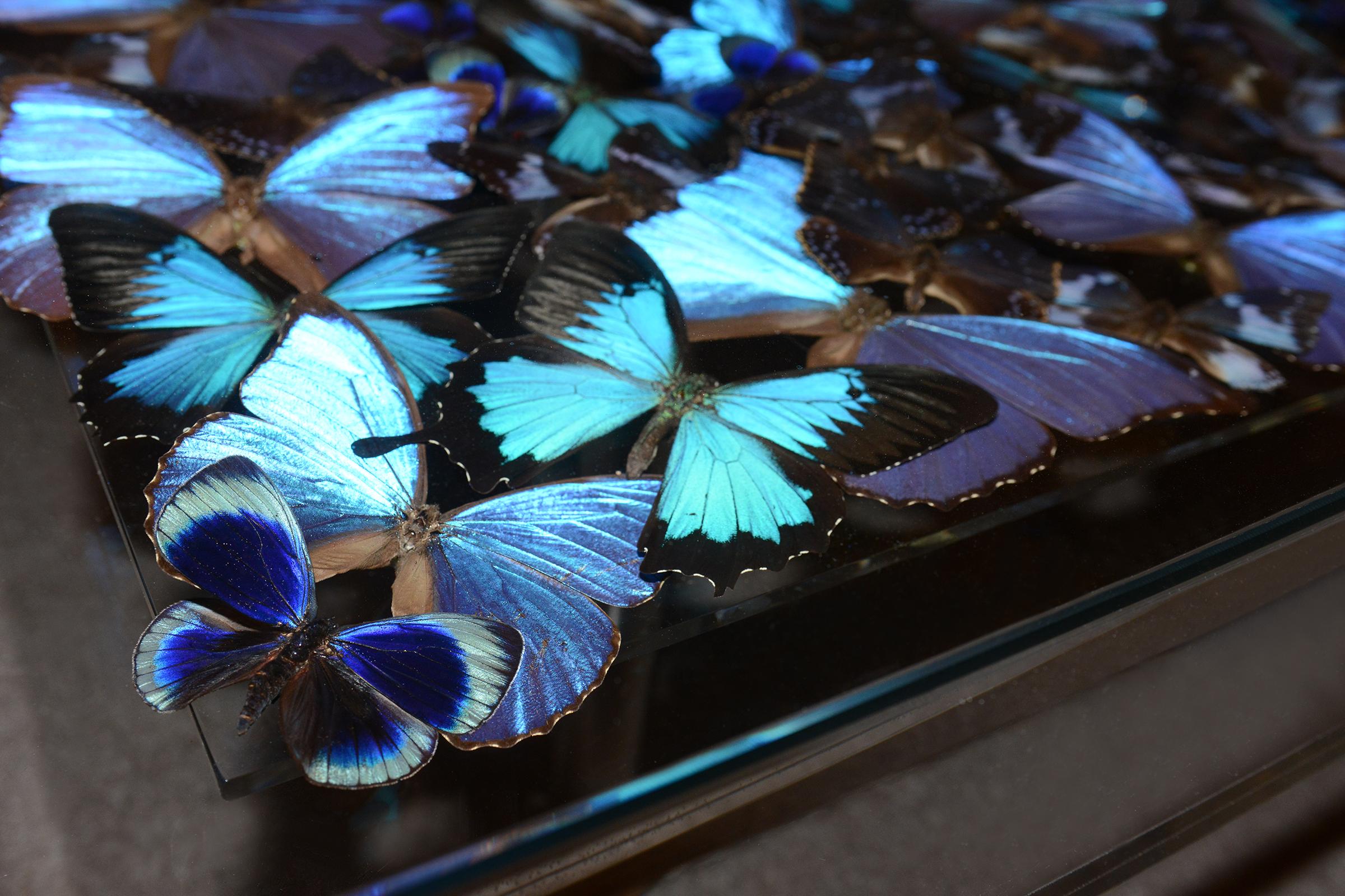 Contemporary Blue Butterflies Coffee Table