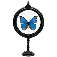Blue Butterfly in Round Reliquary