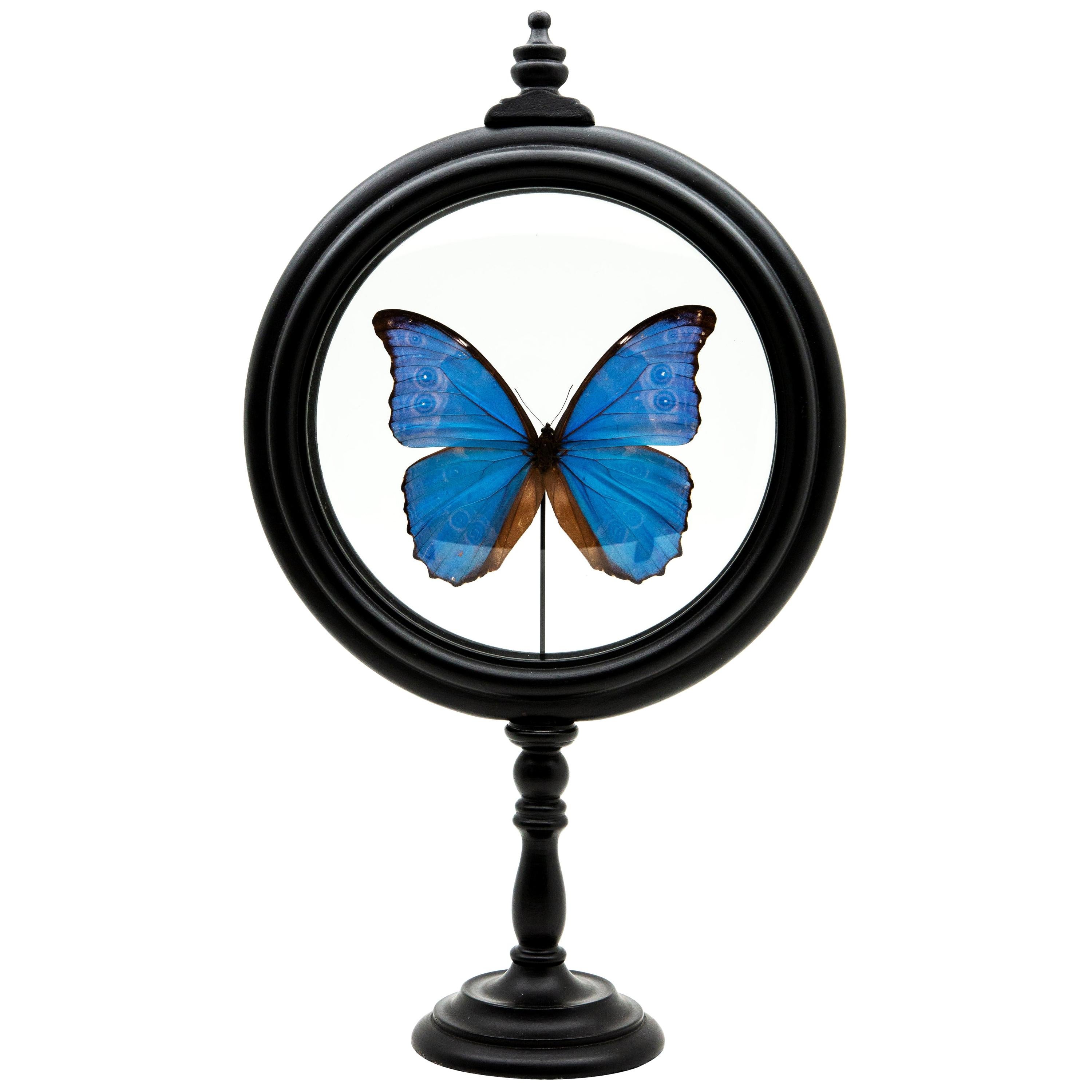 Blue Butterfly in Round Reliquary