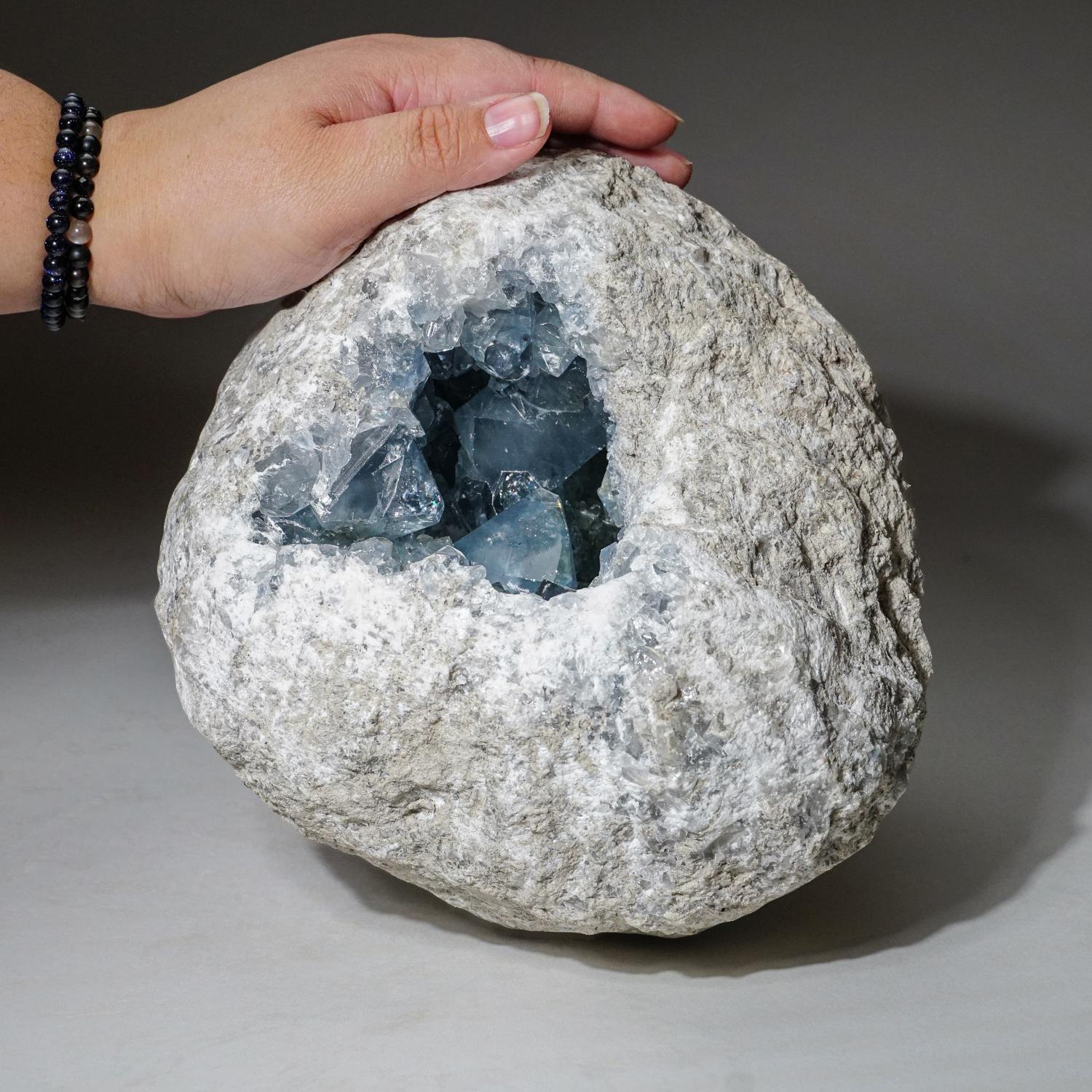 Lustrous large gem transparent crystals of blue Celestite. Has a few large crystals with prism faces and chisel-shaped terminations. This specimen has bright rich color, unlike the blueish grey color which is common from this region. All fully