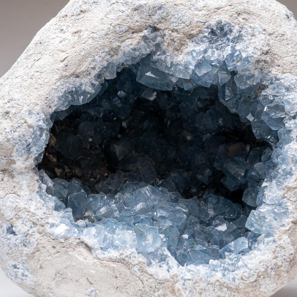 Questo cluster di Celestite blu del Madagascar, unico nel suo genere, presenta cristalli gemmati di grandi dimensioni e di notevole qualità, con facce prismatiche e terminazioni a scalpello affilate, superando la media dei grani grigio-blu della