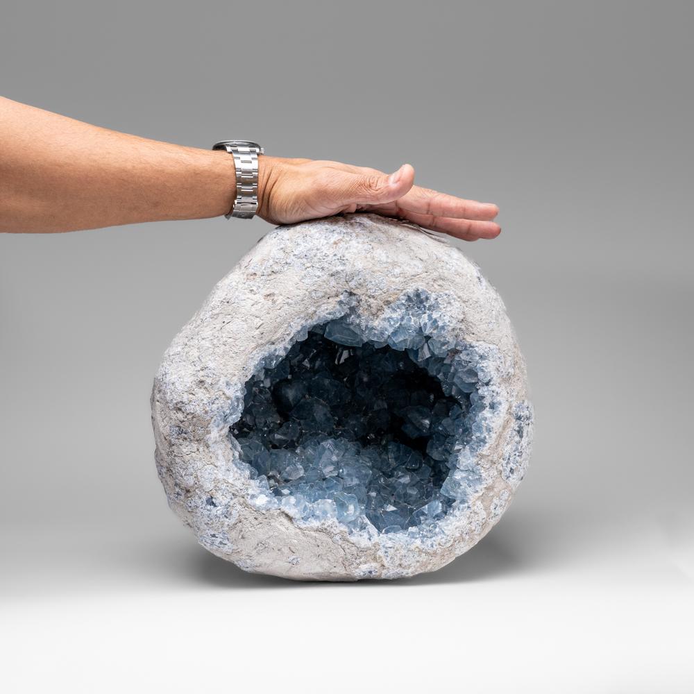 Malgascio Blue Celestite Cluster From Sankoany, Ketsepy Mahajanga, Madagascar (50 lbs) in vendita