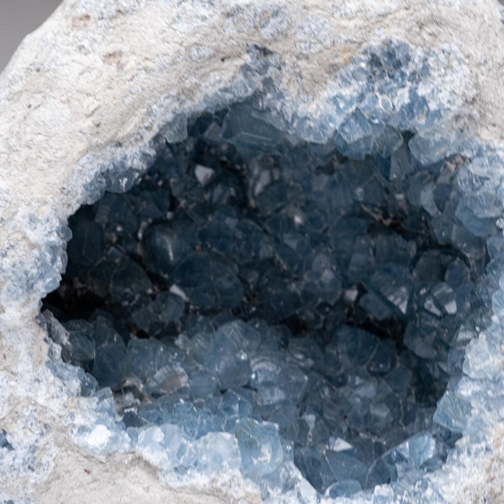 Blue Celestite Cluster From Sankoany, Ketsepy Mahajanga, Madagascar (50 lbs) In condizioni Nuovo in vendita a New York, NY