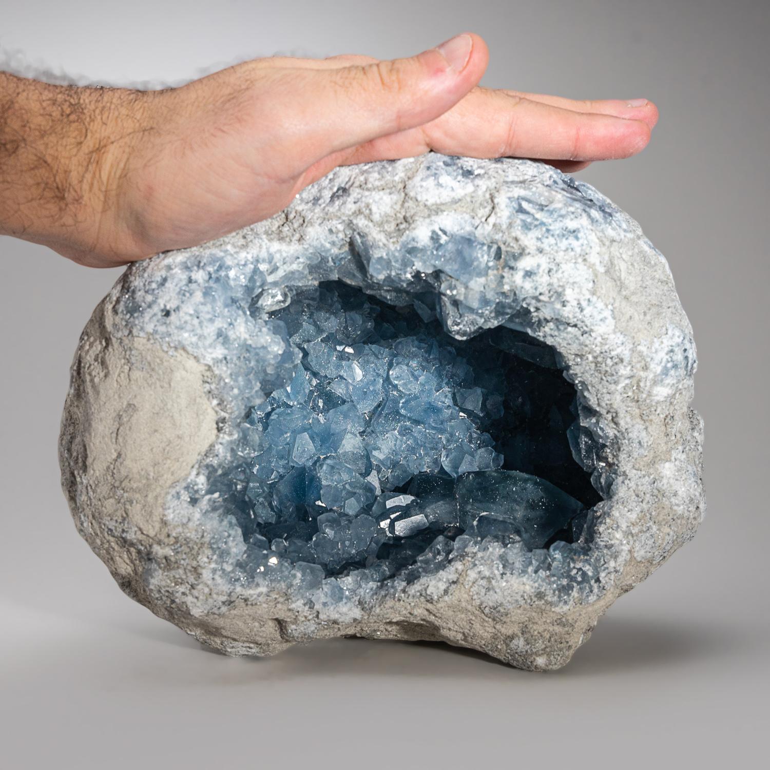 Blue Celestite Cluster Geode From Sankoany, Ketsepy Mahajanga, Madagascar (14.5  In New Condition For Sale In New York, NY