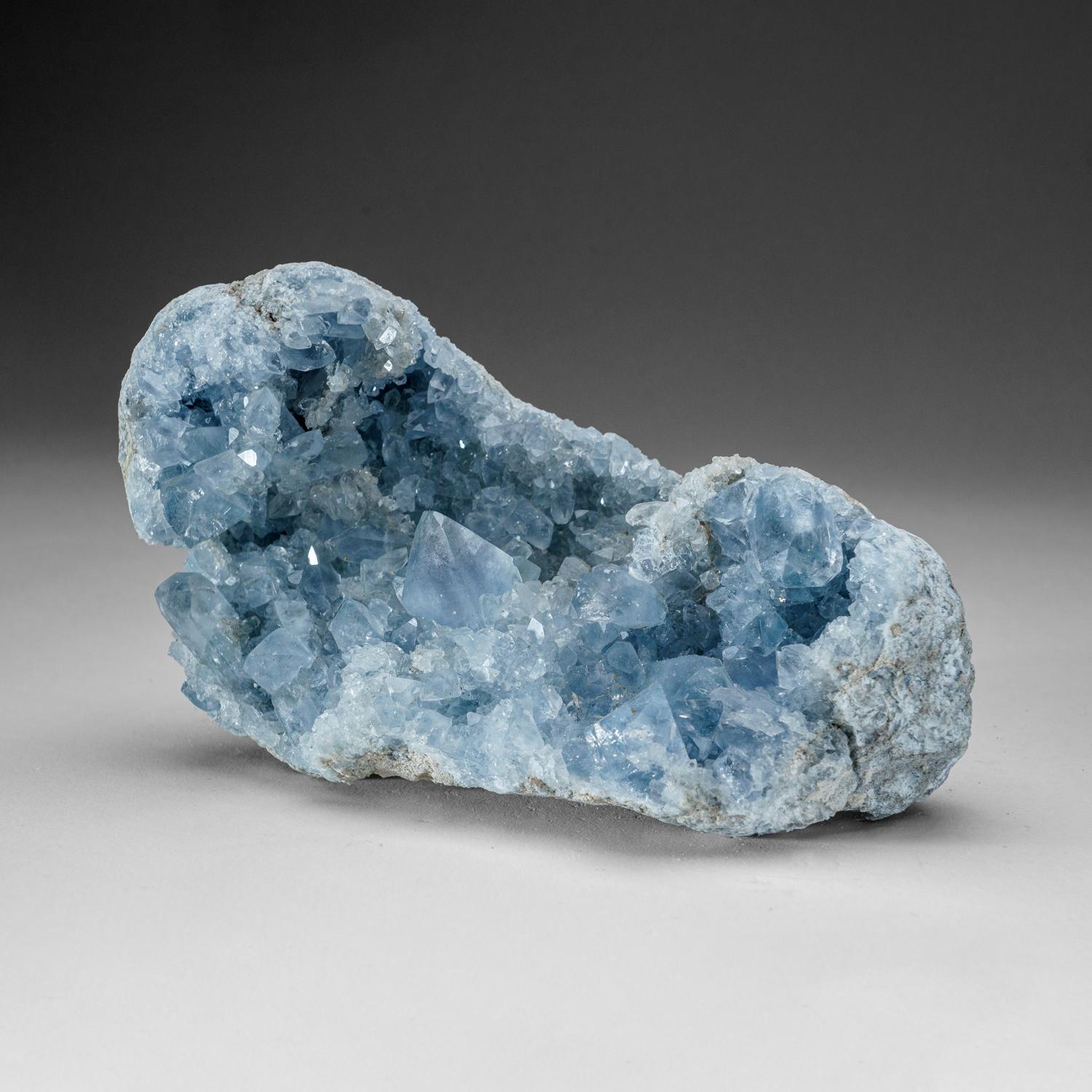 Blue Celestite Cluster Geode From Sankoany, Ketsepy Mahajanga, Madagascar (5 lbs In New Condition For Sale In New York, NY