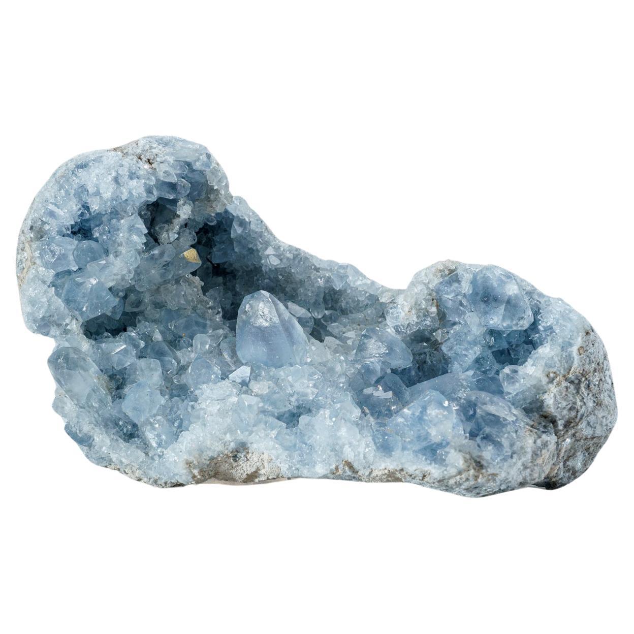 Blue Celestite Cluster Geode From Sankoany, Ketsepy Mahajanga, Madagascar (5 lbs For Sale