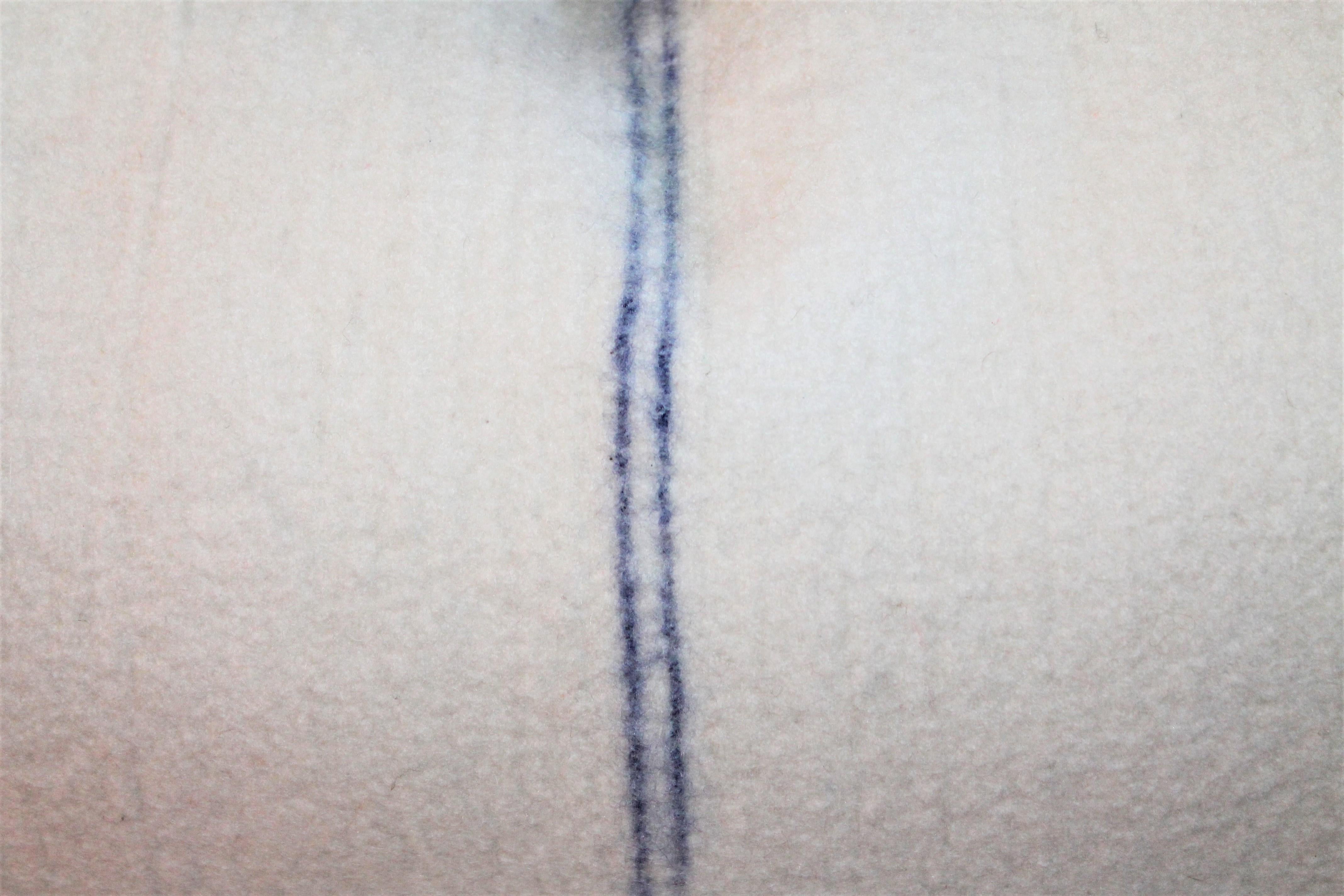 American Blue Center Stripe Lambs Wool Pillows, Three