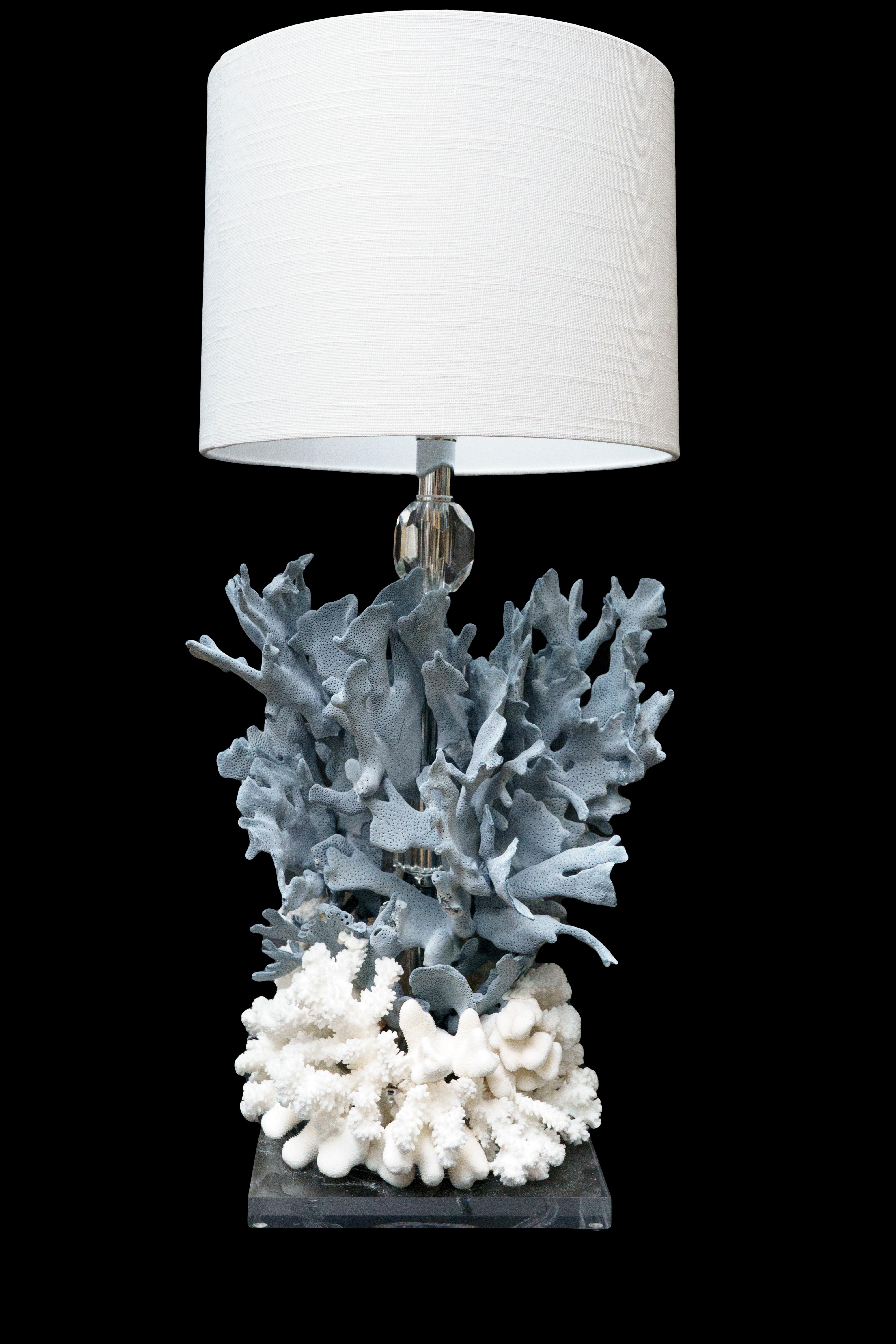 Blaue Korallen Kreation Lampe:

Maße: 12