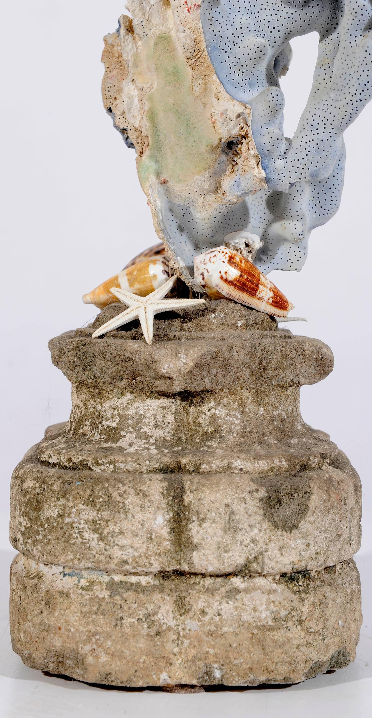 For Your sea house : perfect this Blue Coral  madrepora mounted like a natural sculpture on an ancient stone capital, completed with some shells.
O/7895.